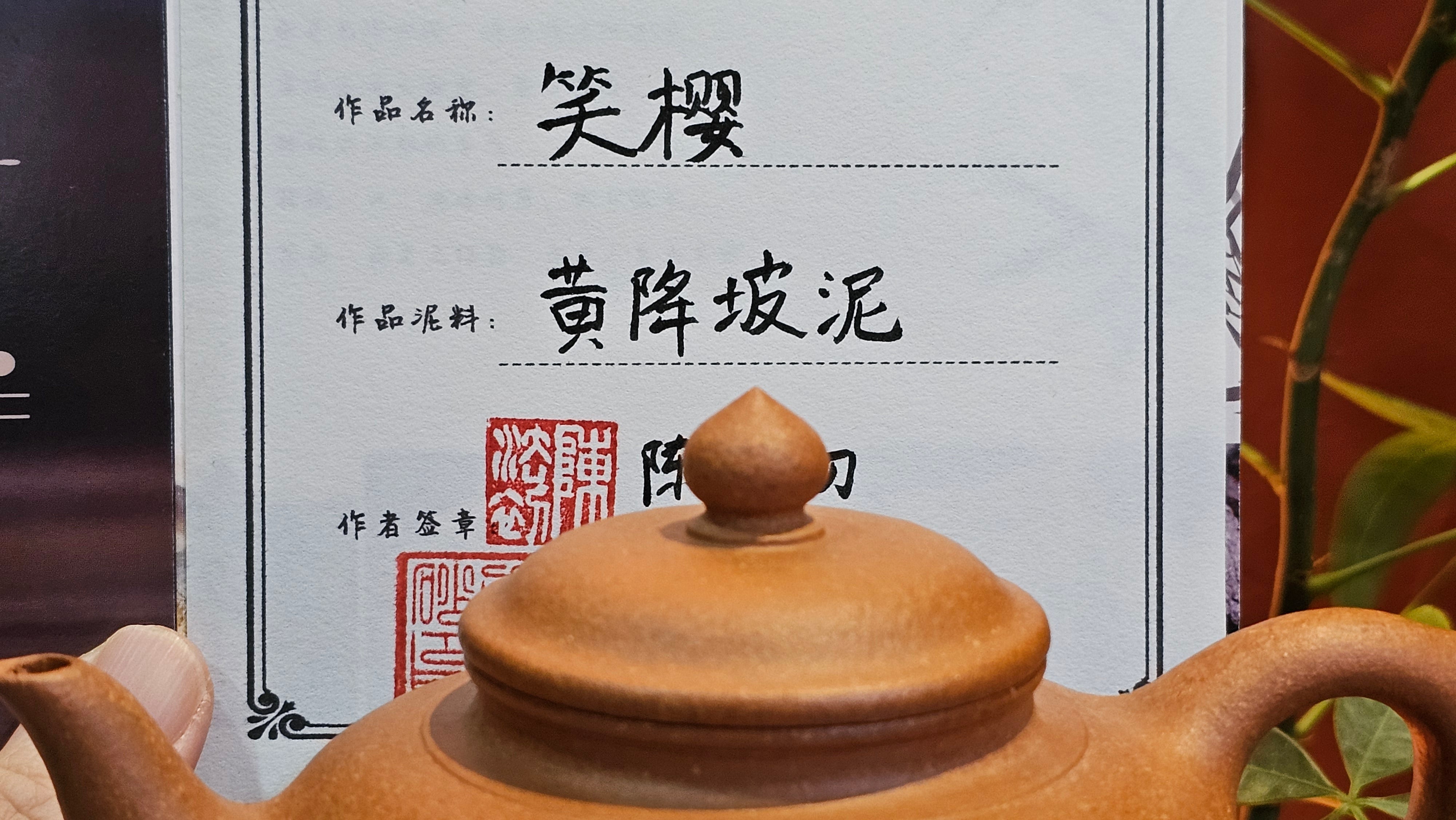 Xiao Ying 笑樱, 275.0ml, Huang Jiang Po Ni 黄降坡泥, by our Collaborative Craftsman Chen Fa Chu 陈法初 ~ Congratulations to Mr R.L., 1802hrs 6th June 2025, Flintridge, CA.