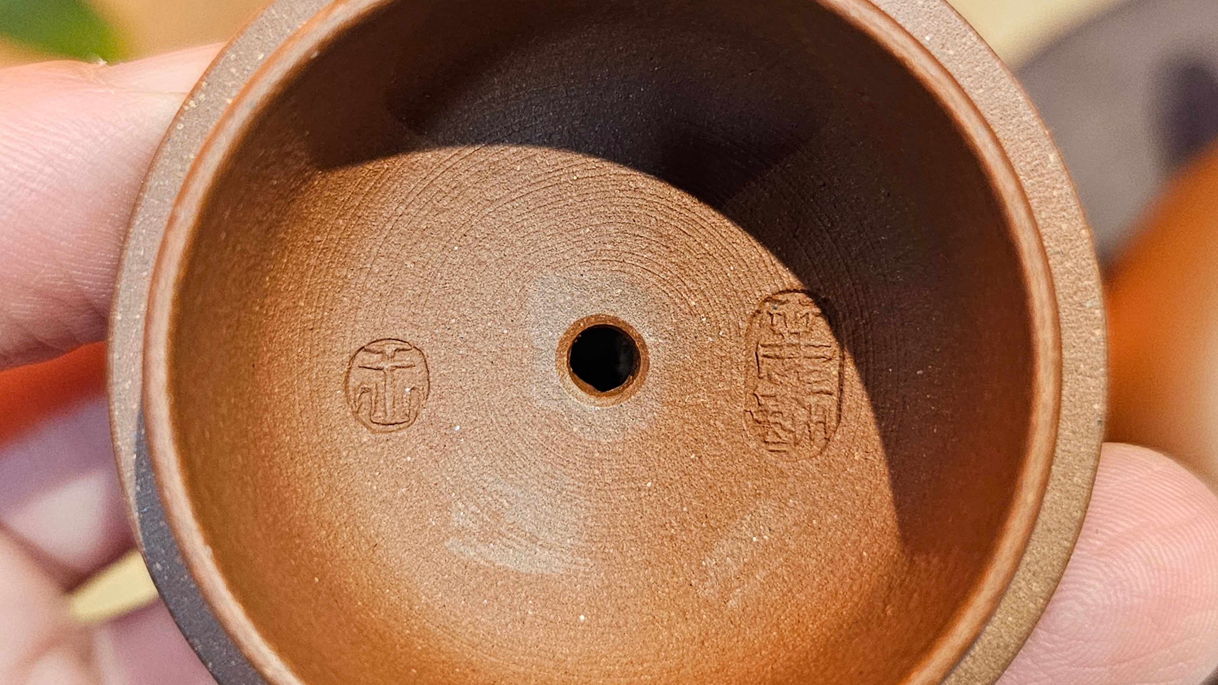 Xiao Ying 笑樱, 223.5ml, Di Cao Qing Zi Ni 底槽青紫泥, by our Collaborative Craftsman Wang Li Qin 王丽勤。