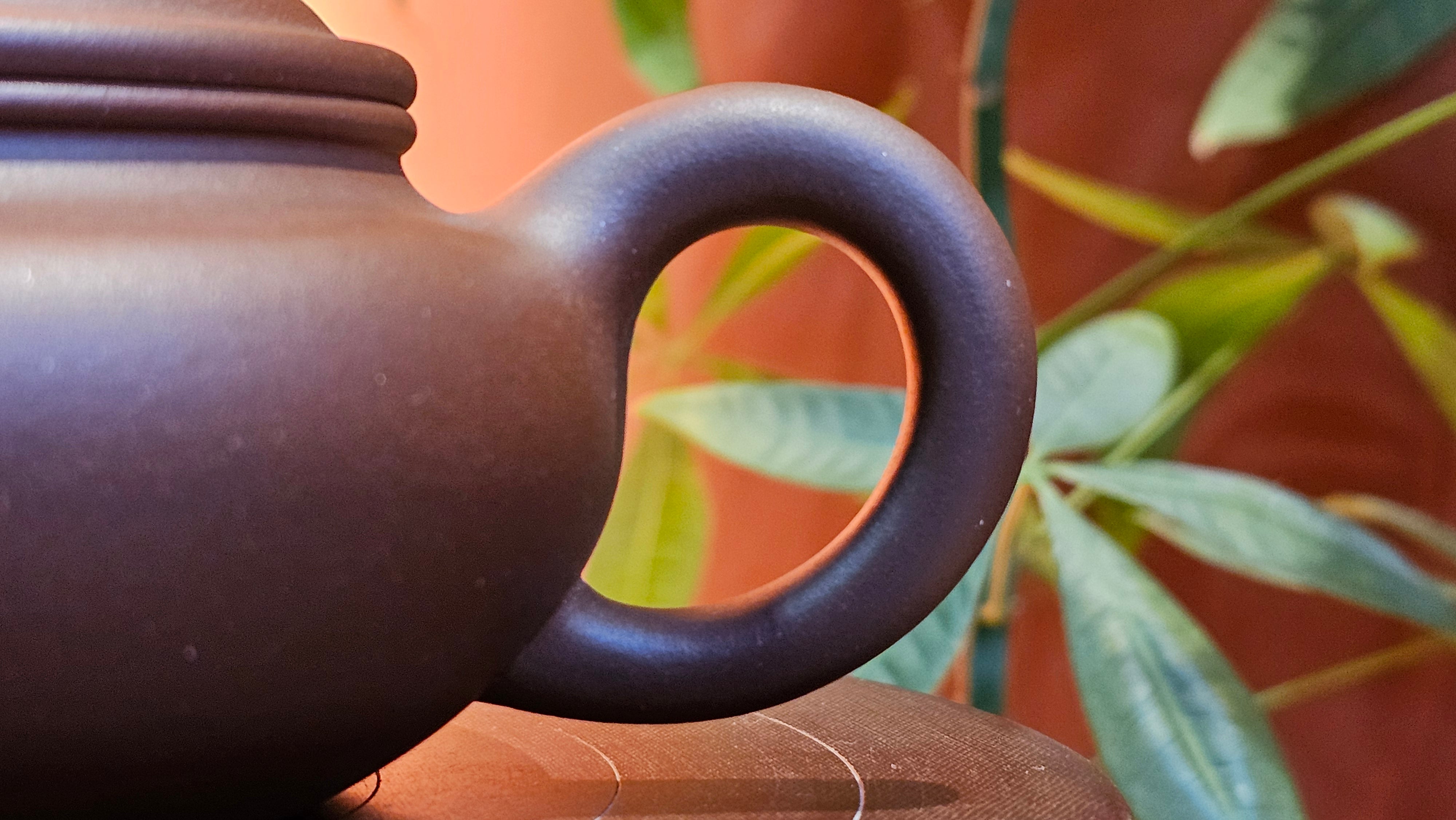 Bian Fu 扁腹, 268.6ml, Di Cao Qing Zi Ni 底槽青紫泥, by our Collaborative Craftsman Chen Fa Chu 陈法初。