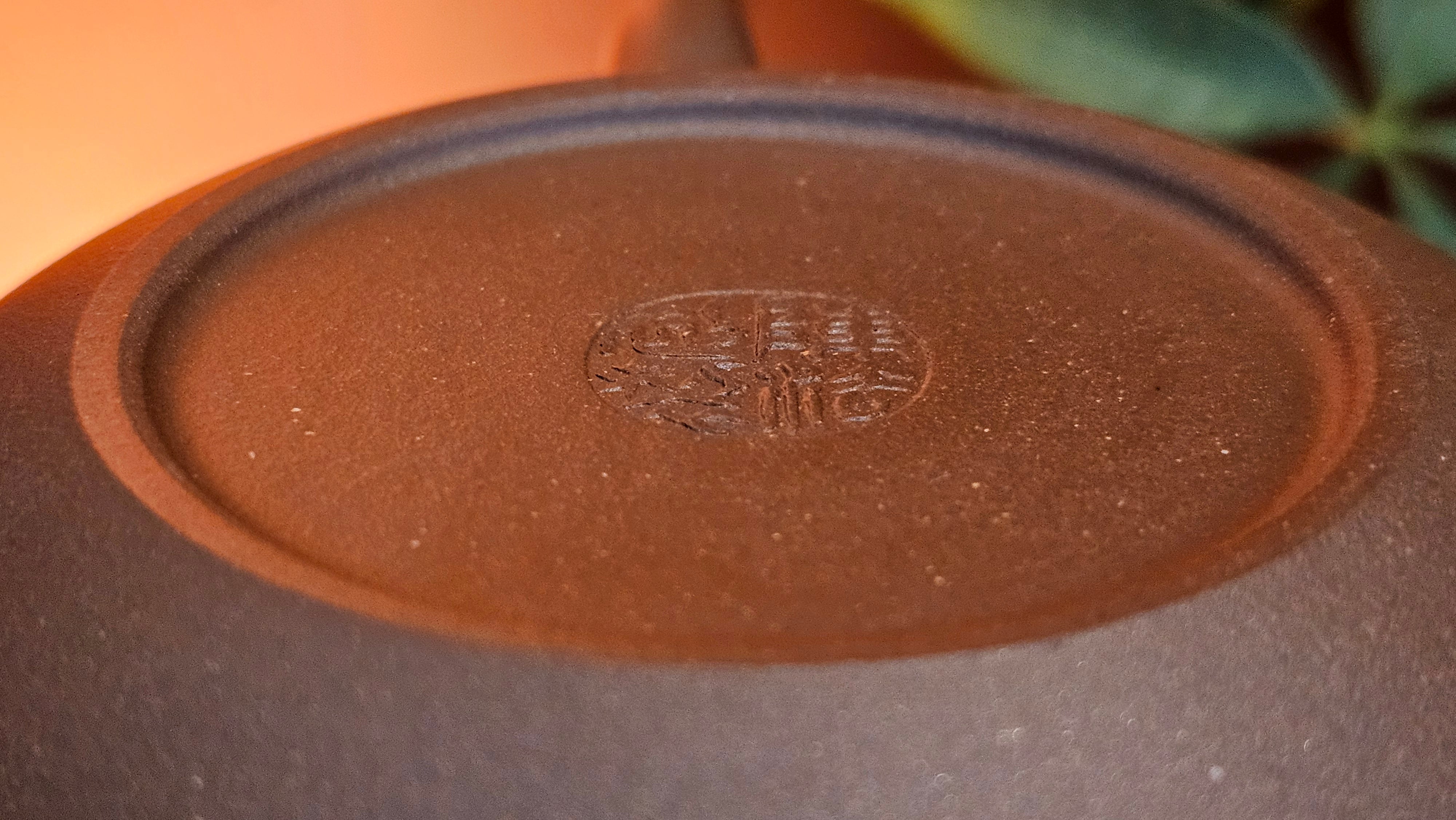 Bian Fu 扁腹, 268.6ml, Di Cao Qing Zi Ni 底槽青紫泥, by our Collaborative Craftsman Chen Fa Chu 陈法初。