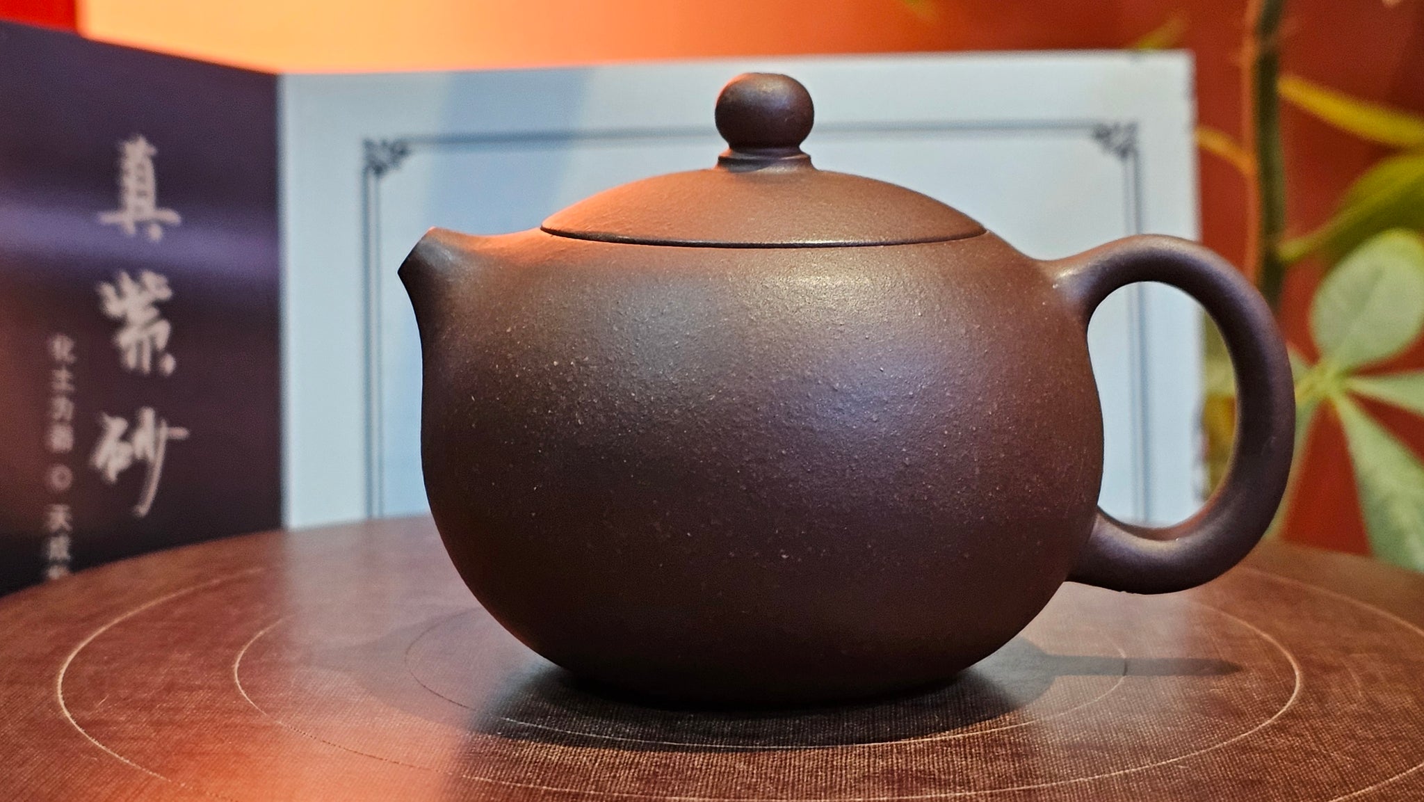 20250305_190348_2048x.jpg?v=