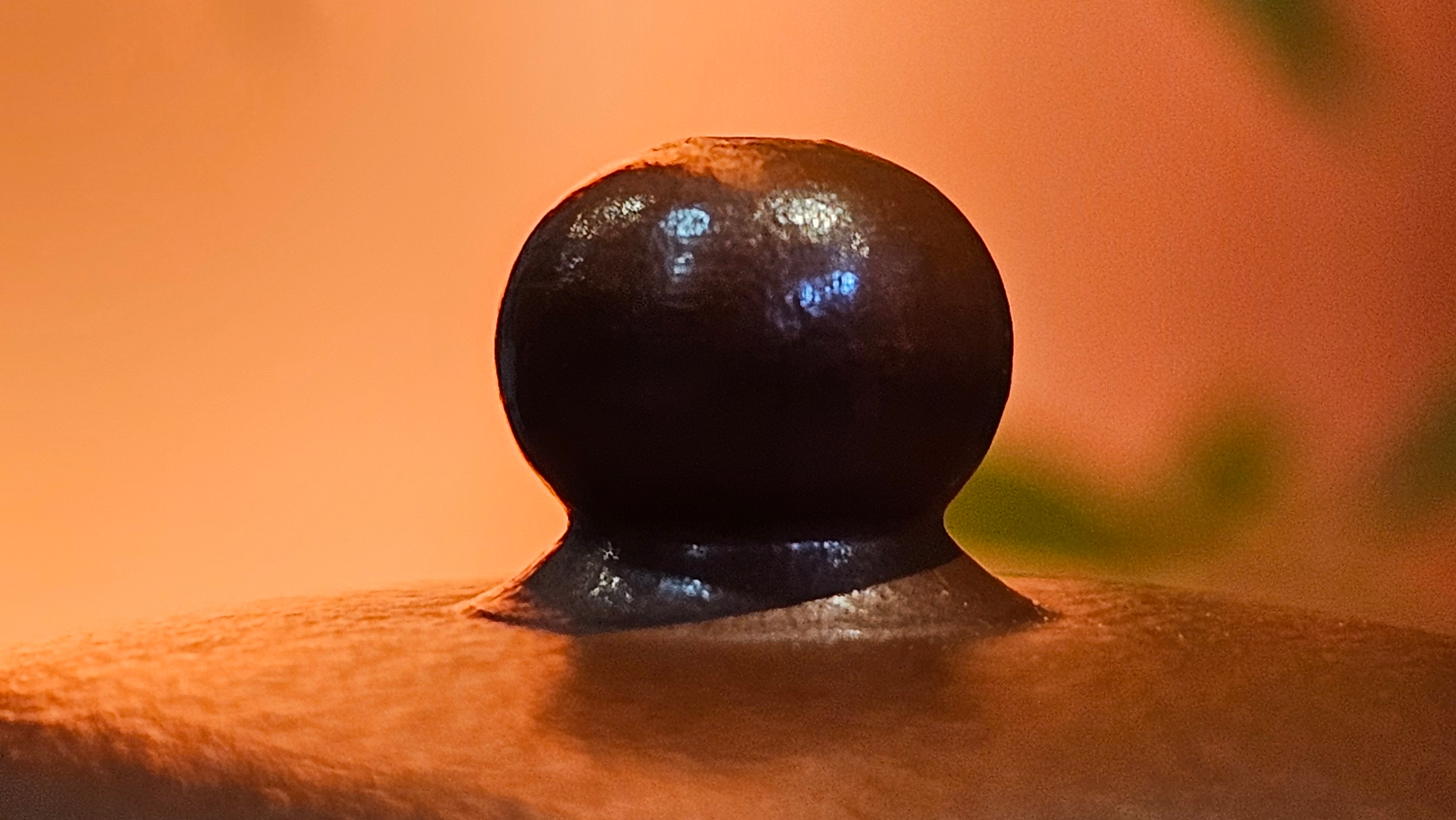 Yi Gong Hu 逸公壶, 139.6ml, Xiao Mei Yao Zhu Ni 小煤窑朱泥,  by our Collaborative Craftsman Shi Yun 石芸 ~ Congratulations to Mr D.K., 1536hrs 11th Apr, Boston, MA.