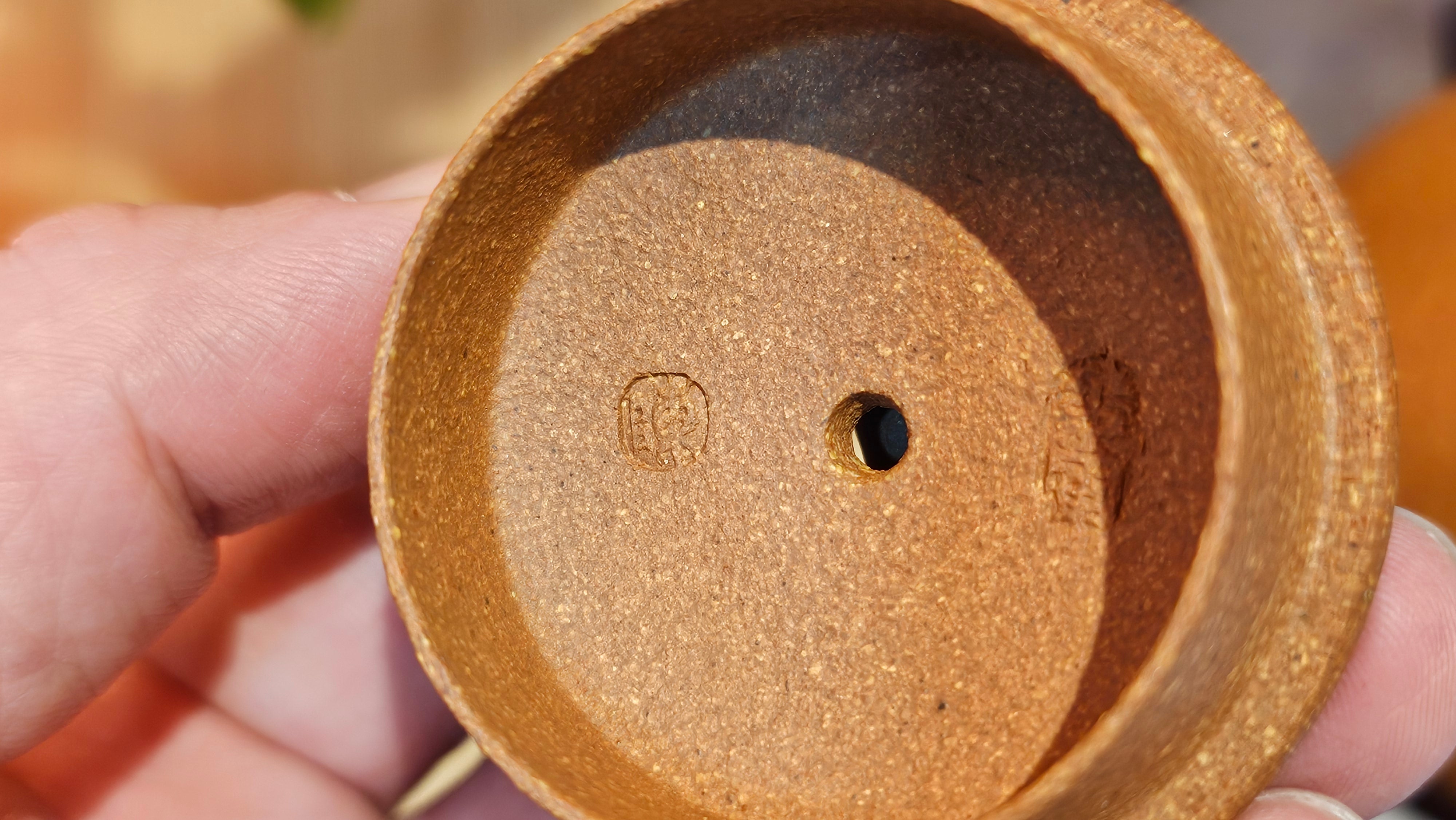 Shi Piao 石瓢, 152.0ml, Ping Gai Shi Piao 平盖石瓢 Huang Jiang Po Ni 黄降坡泥, by our Collaborative Craftsman Chen Hua Jun 陈华军。