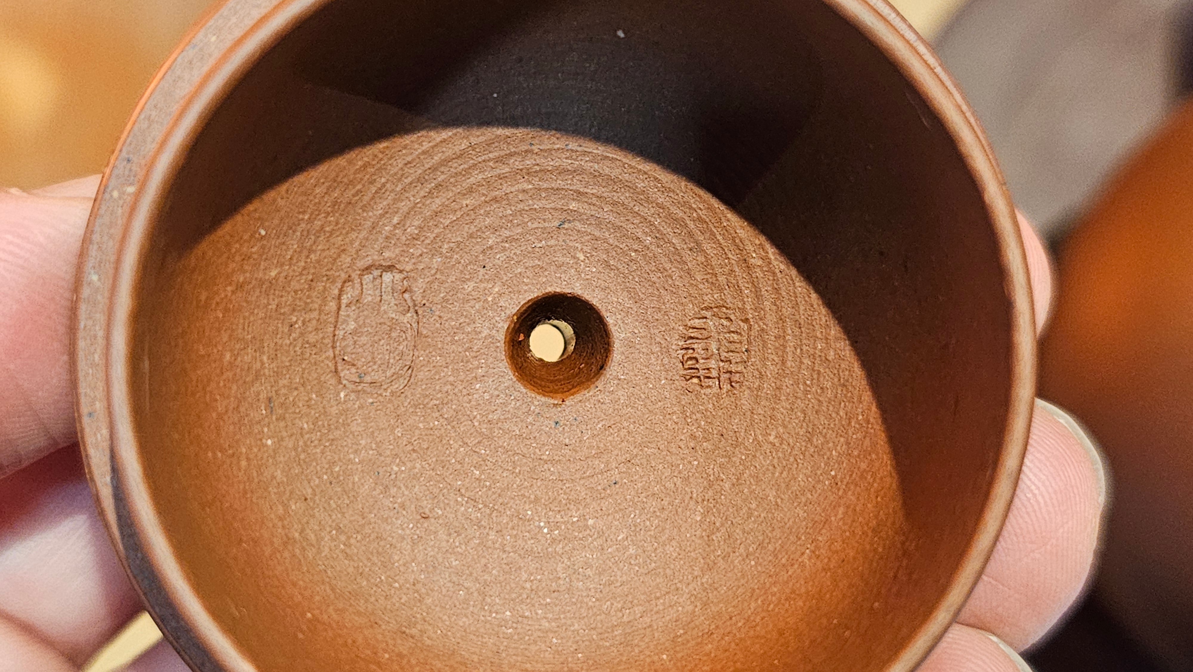 Xi Shi 西施, 171.6ml, Di Cao Qing Zi Ni 底槽青紫泥, by Craftsman Gu Xiao Ming 顾小明。