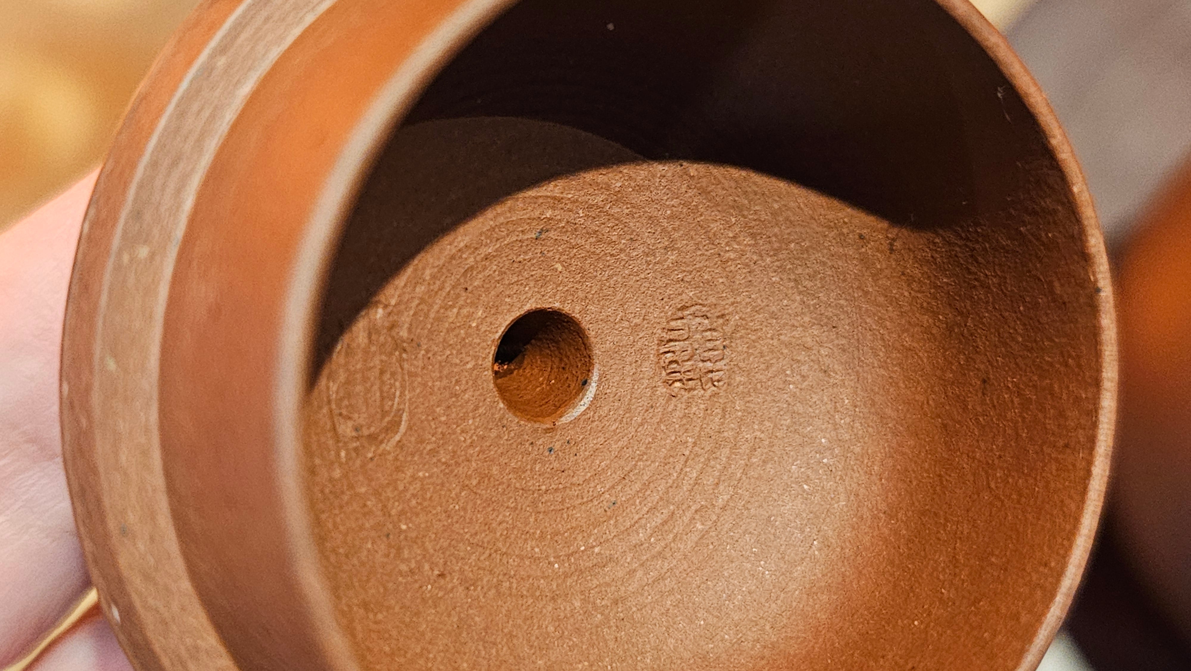 Xi Shi 西施, 171.6ml, Di Cao Qing Zi Ni 底槽青紫泥, by Craftsman Gu Xiao Ming 顾小明。