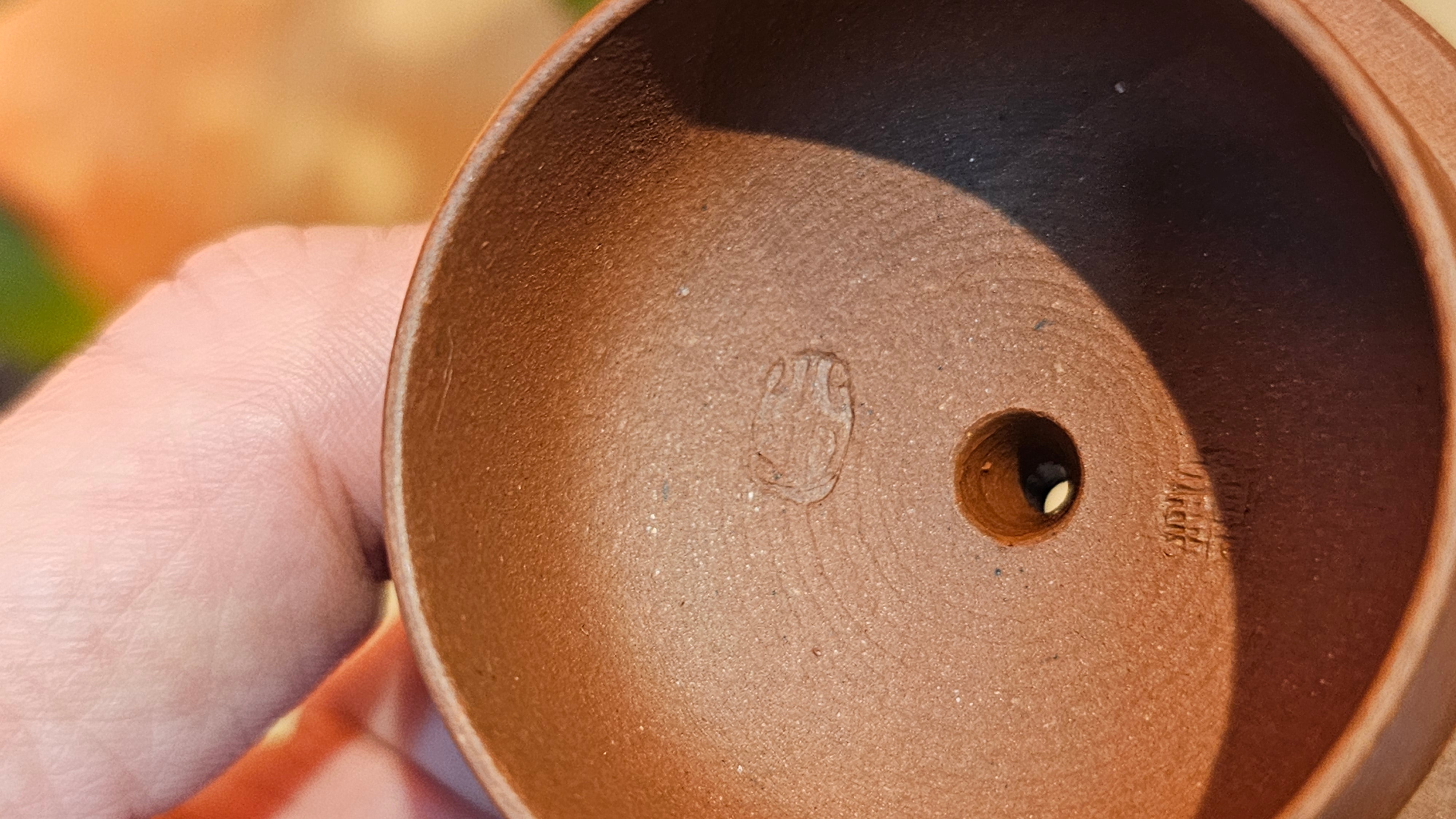 Xi Shi 西施, 171.6ml, Di Cao Qing Zi Ni 底槽青紫泥, by Craftsman Gu Xiao Ming 顾小明。