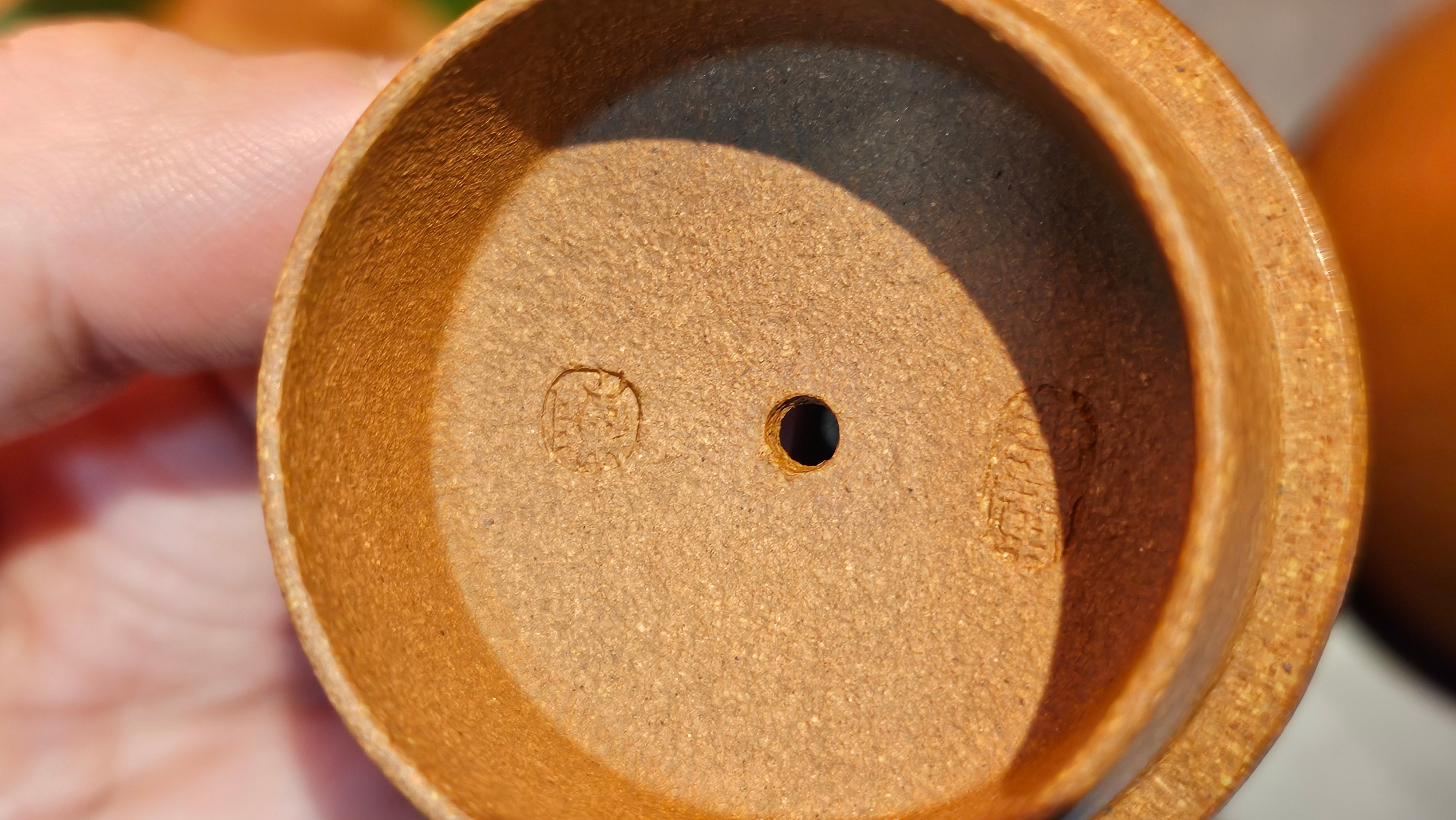 Shi Piao 石瓢 (Gao Shi Piao 高石瓢), 116.3ml, Huang Jiang Po Ni 黄降坡泥, by our Collaborative Craftsman Chen Hua Jun 陈华军 ~ Congratulations to Mr A.D.P, 2357hrs 6th May 2025, Leuven, Belgium 🇧🇪.