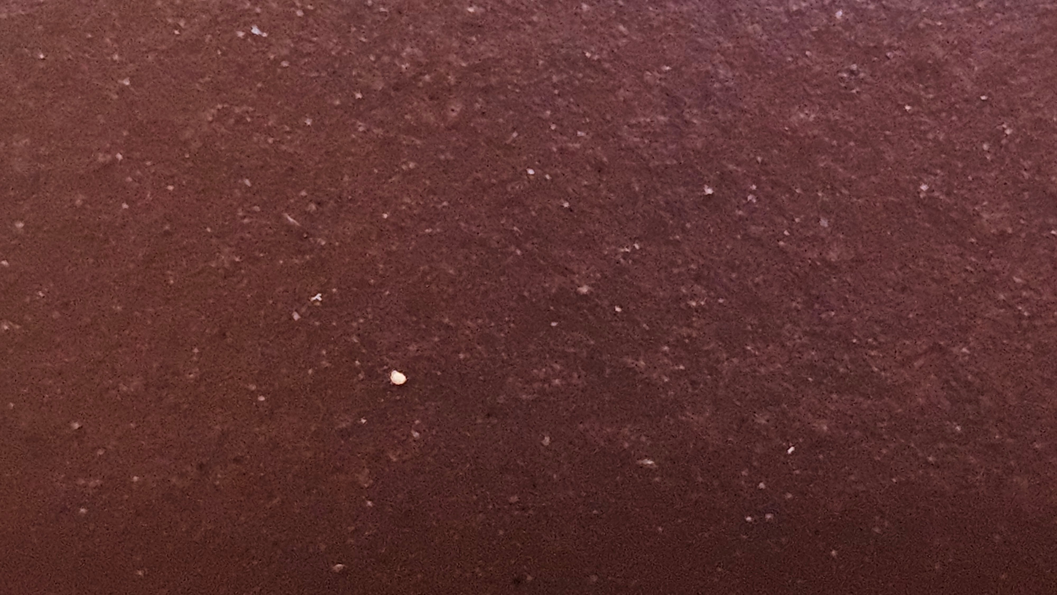 Xi Shi 西施, 172.3ml, Di Cao Qing Zi Ni 底槽青紫泥, by Craftsman Gu Xiao Ming 顾小明 ~ Congratulations to Mr D.S., 0838hrs 15th Apr, Narragansett, RI 🇺🇸.