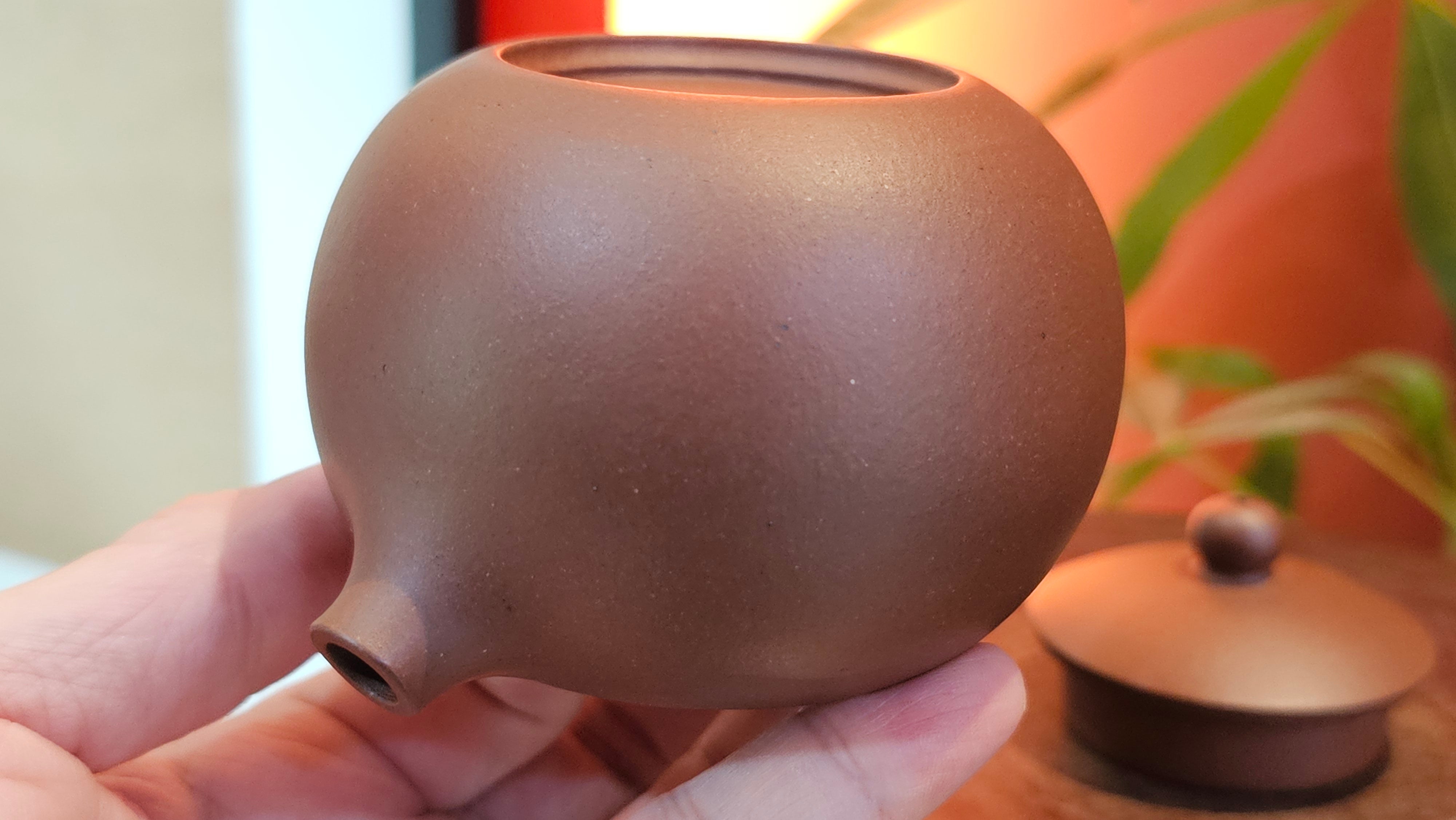 Xi Shi 西施, 172.3ml, Di Cao Qing Zi Ni 底槽青紫泥, by Craftsman Gu Xiao Ming 顾小明 ~ Congratulations to Mr D.S., 0838hrs 15th Apr, Narragansett, RI 🇺🇸.