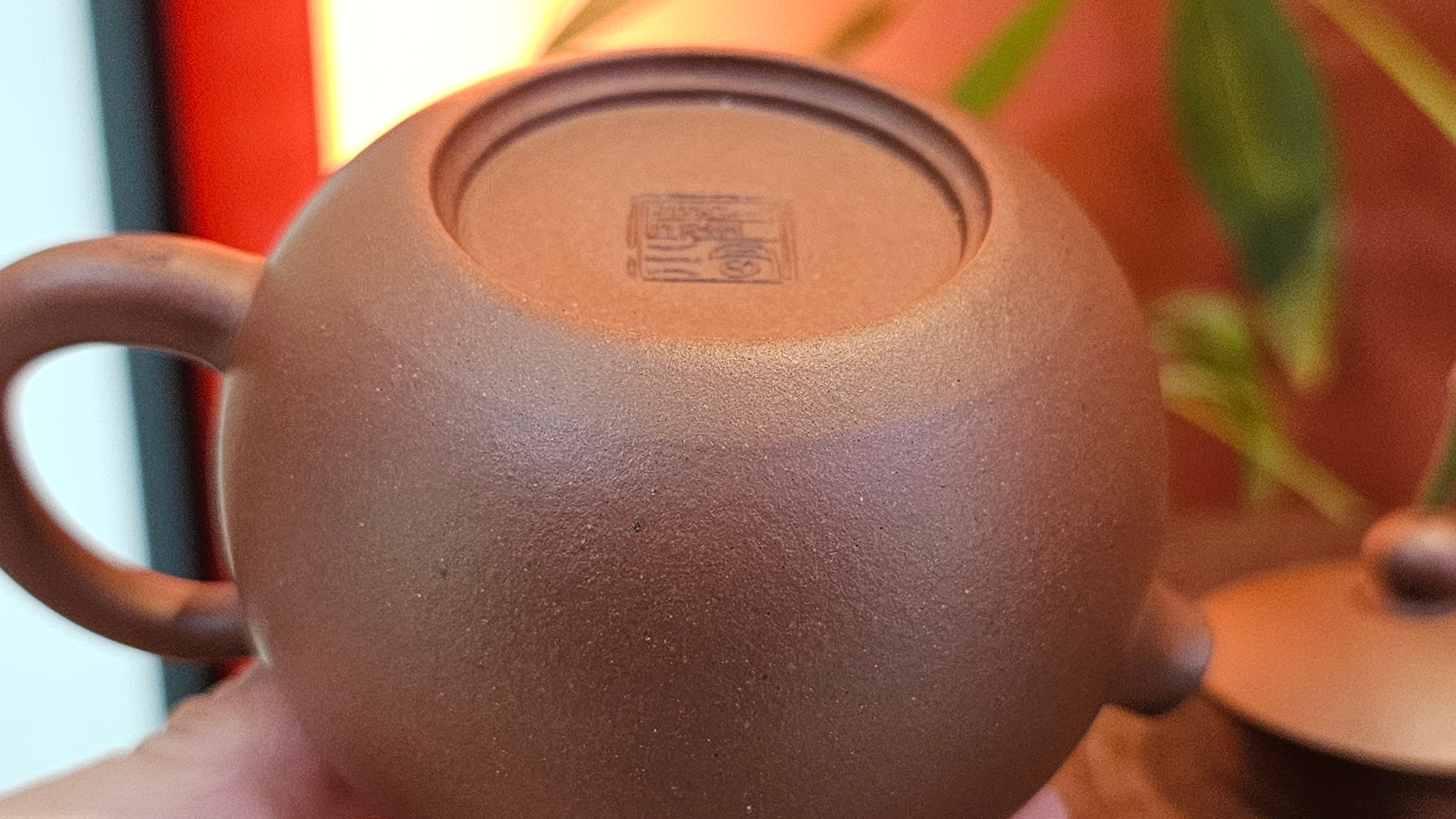 Xi Shi 西施, 172.3ml, Di Cao Qing Zi Ni 底槽青紫泥, by Craftsman Gu Xiao Ming 顾小明 ~ Congratulations to Mr D.S., 0838hrs 15th Apr, Narragansett, RI 🇺🇸.