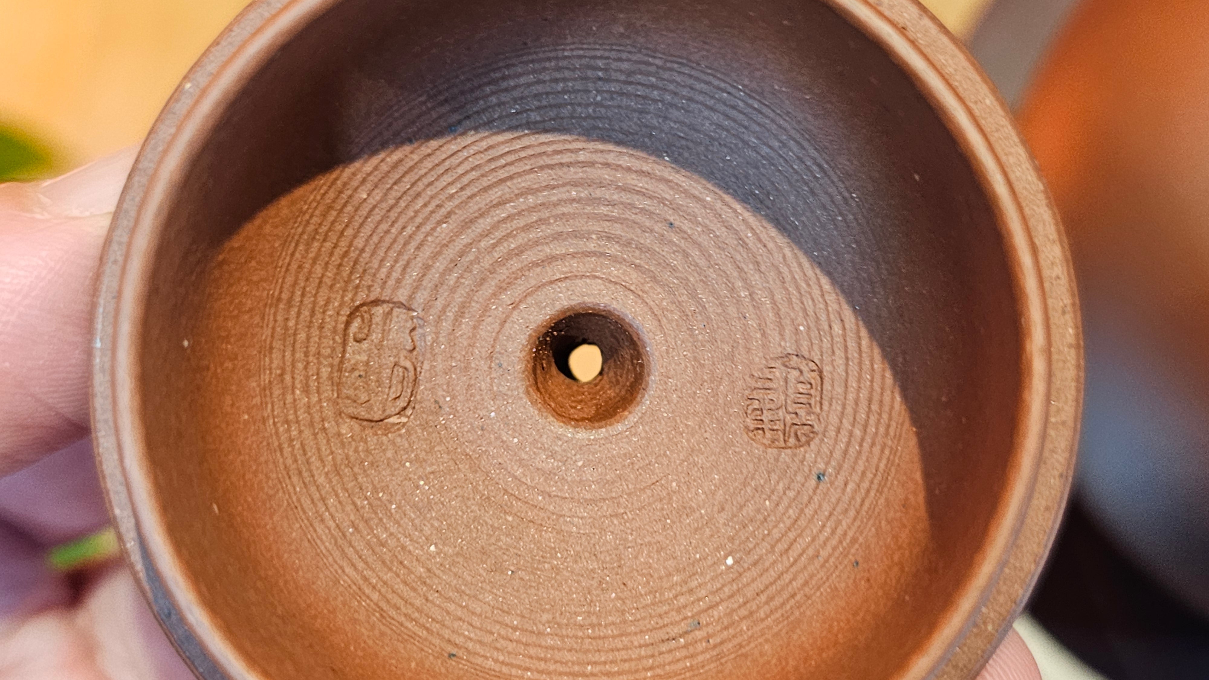 Xi Shi 西施, 172.3ml, Di Cao Qing Zi Ni 底槽青紫泥, by Craftsman Gu Xiao Ming 顾小明 ~ Congratulations to Mr D.S., 0838hrs 15th Apr, Narragansett, RI 🇺🇸.