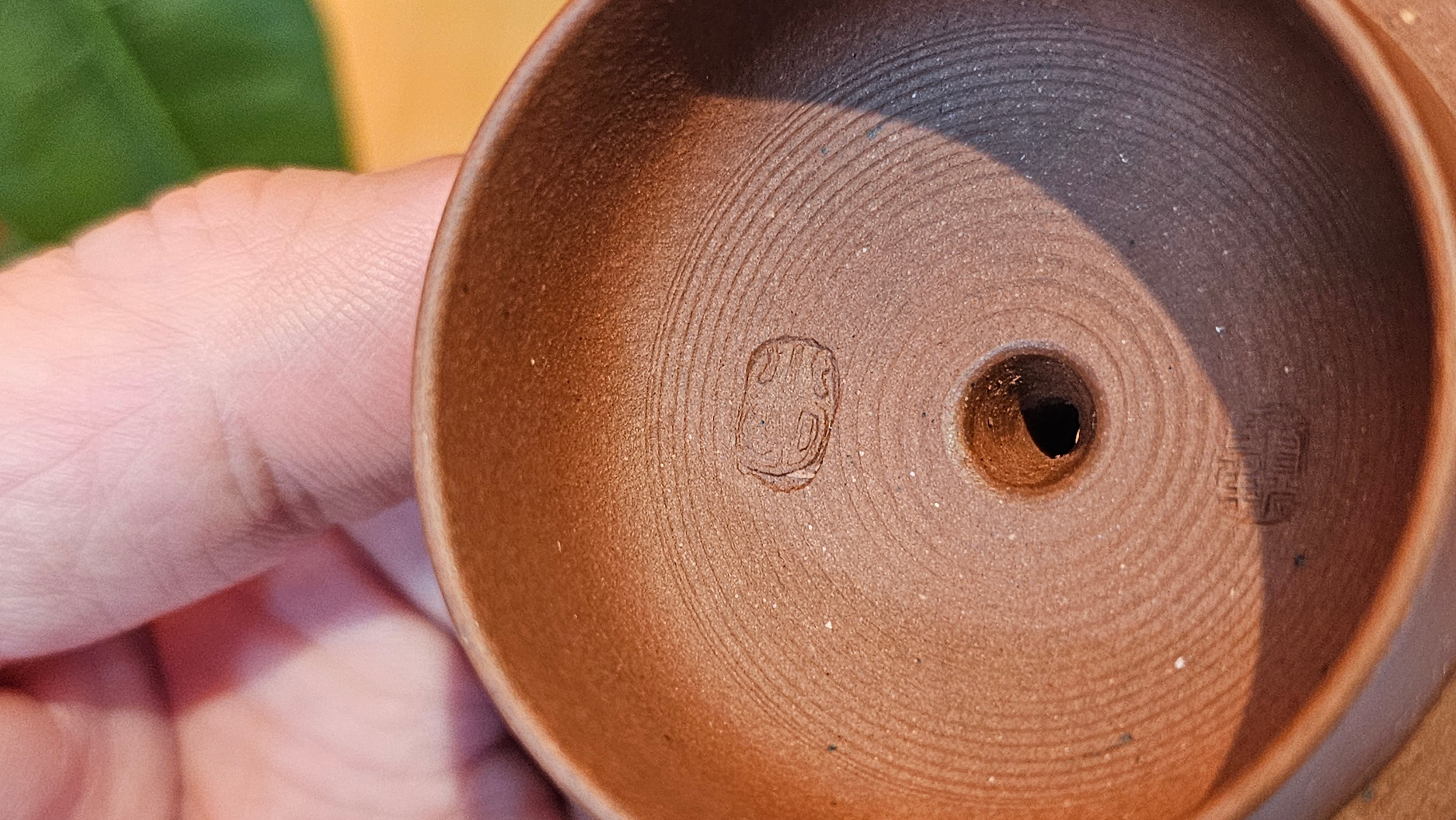 Xi Shi 西施, 172.3ml, Di Cao Qing Zi Ni 底槽青紫泥, by Craftsman Gu Xiao Ming 顾小明 ~ Congratulations to Mr D.S., 0838hrs 15th Apr, Narragansett, RI 🇺🇸.