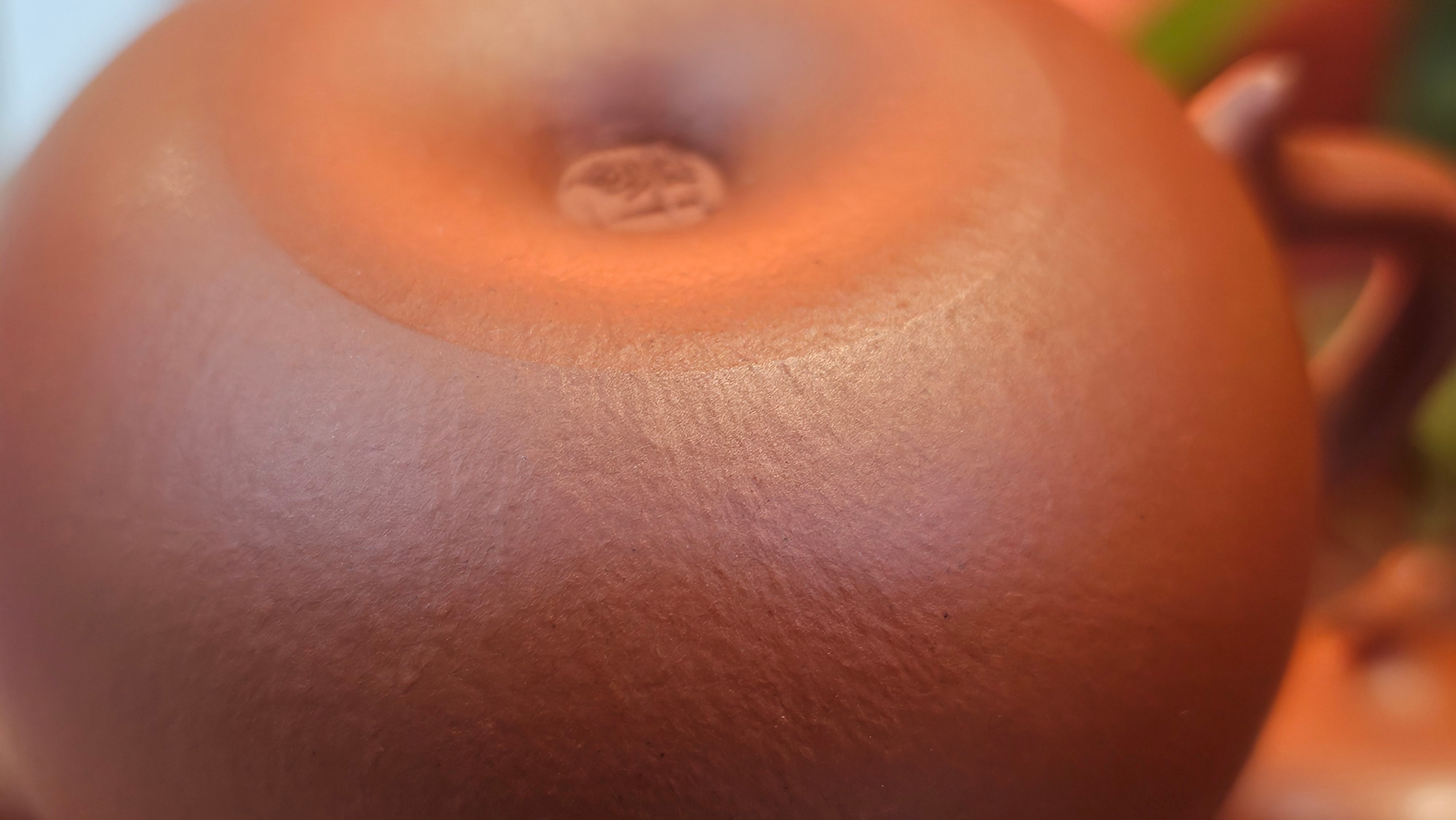 Qie Gua 茄瓜, 140.6ml, Xiao Mei Yao Zhu Ni 小煤窑朱泥,  by our Collaborative Craftsman Wang Hui 王慧, Poem Engraving by Craftsman 一德书 ~ Congratulations to Mr L.L., 1139hrs 28th Apr, Ventura, CA.