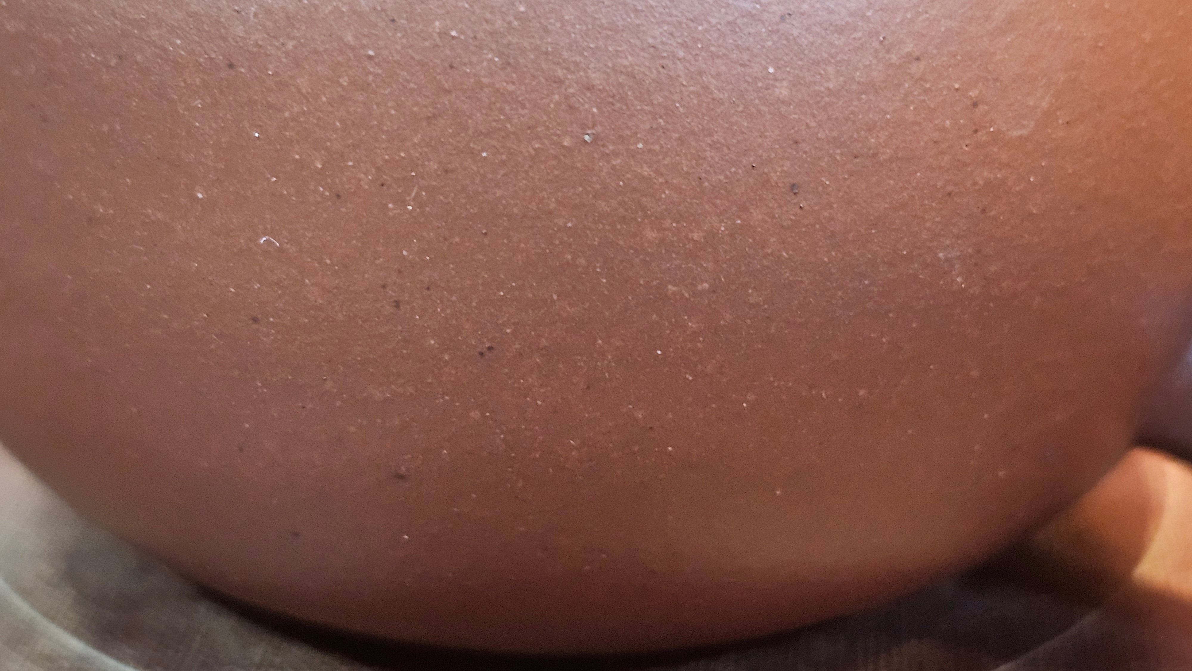 Xi Shi 西施, 167.6ml, Di Cao Qing Zi Ni 底槽青紫泥, by Craftsman Gu Xiao Ming 顾小明 ~ Congratulations to Ms D.W., 2320hrs 24th Apr, Milton, Ontario, Canada 🇨🇦.