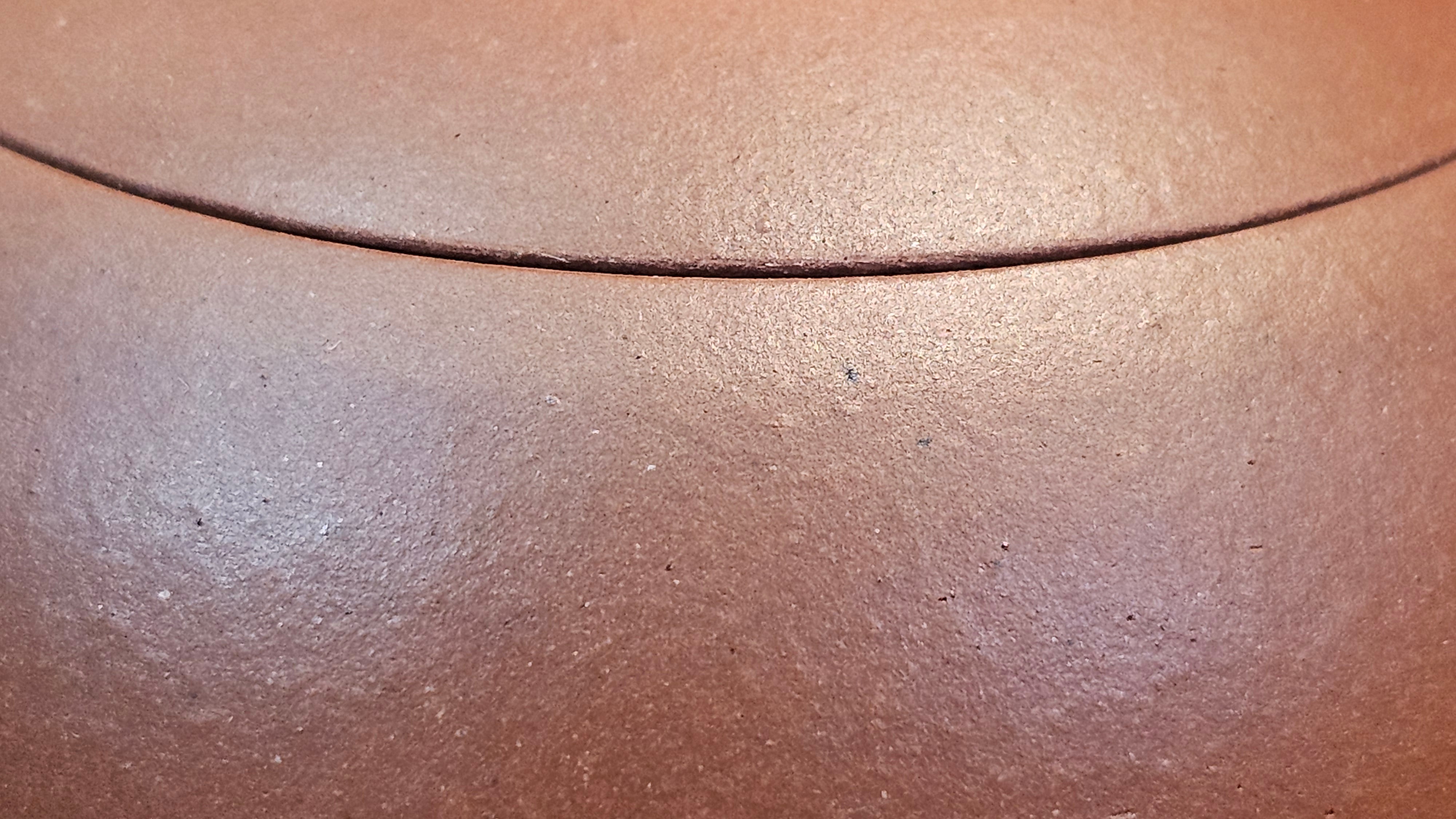 Xi Shi 西施, 167.6ml, Di Cao Qing Zi Ni 底槽青紫泥, by Craftsman Gu Xiao Ming 顾小明 ~ Congratulations to Ms D.W., 2320hrs 24th Apr, Milton, Ontario, Canada 🇨🇦.