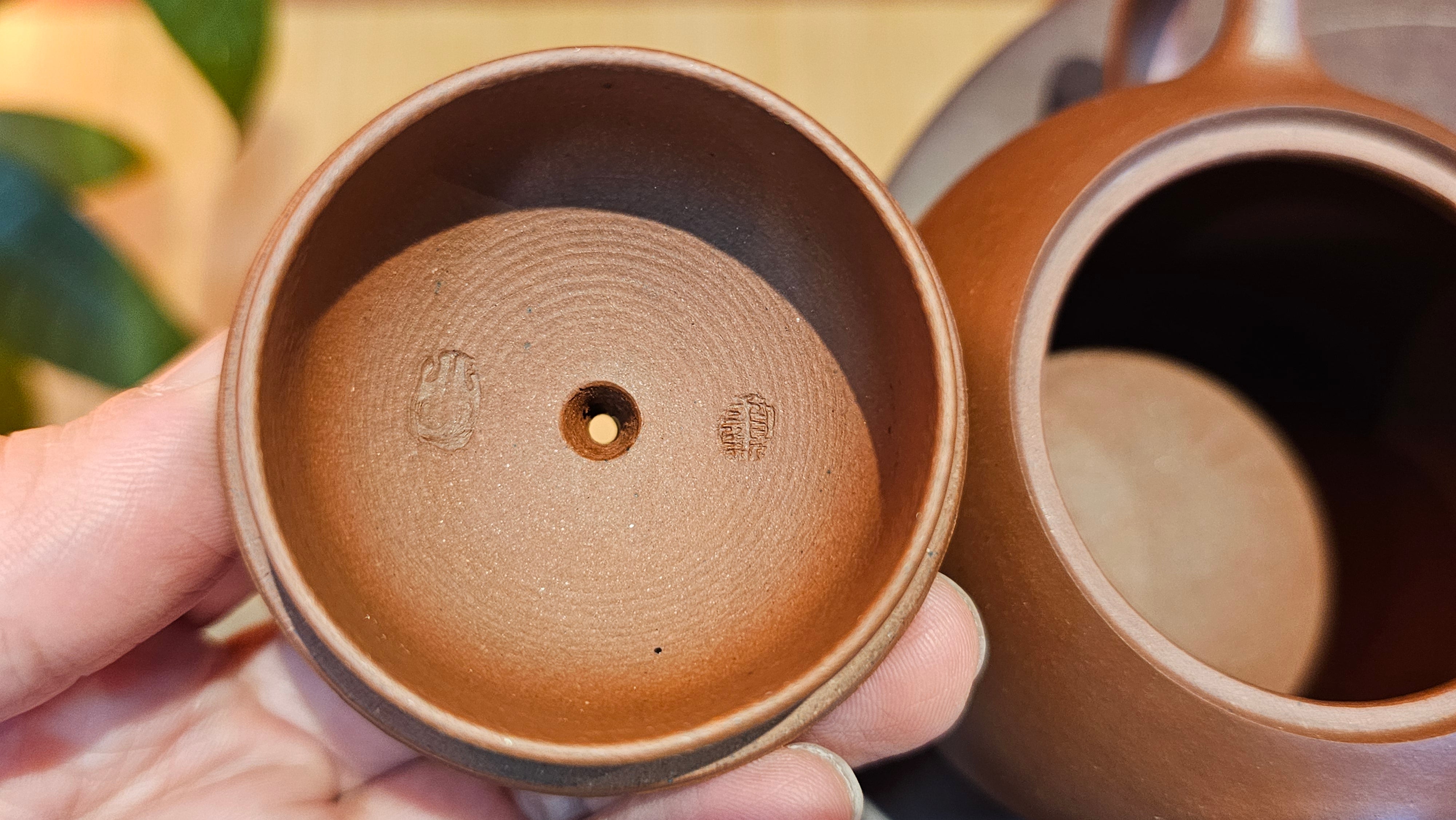 Xi Shi 西施, 167.6ml, Di Cao Qing Zi Ni 底槽青紫泥, by Craftsman Gu Xiao Ming 顾小明 ~ Congratulations to Ms D.W., 2320hrs 24th Apr, Milton, Ontario, Canada 🇨🇦.