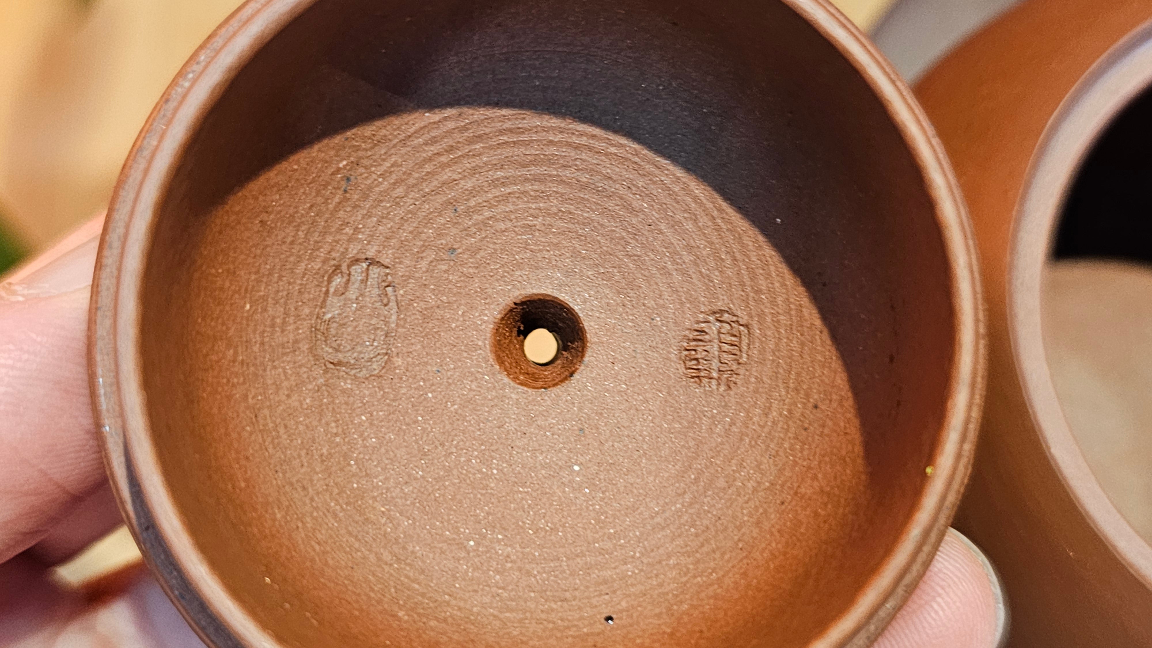 Xi Shi 西施, 167.6ml, Di Cao Qing Zi Ni 底槽青紫泥, by Craftsman Gu Xiao Ming 顾小明 ~ Congratulations to Ms D.W., 2320hrs 24th Apr, Milton, Ontario, Canada 🇨🇦.