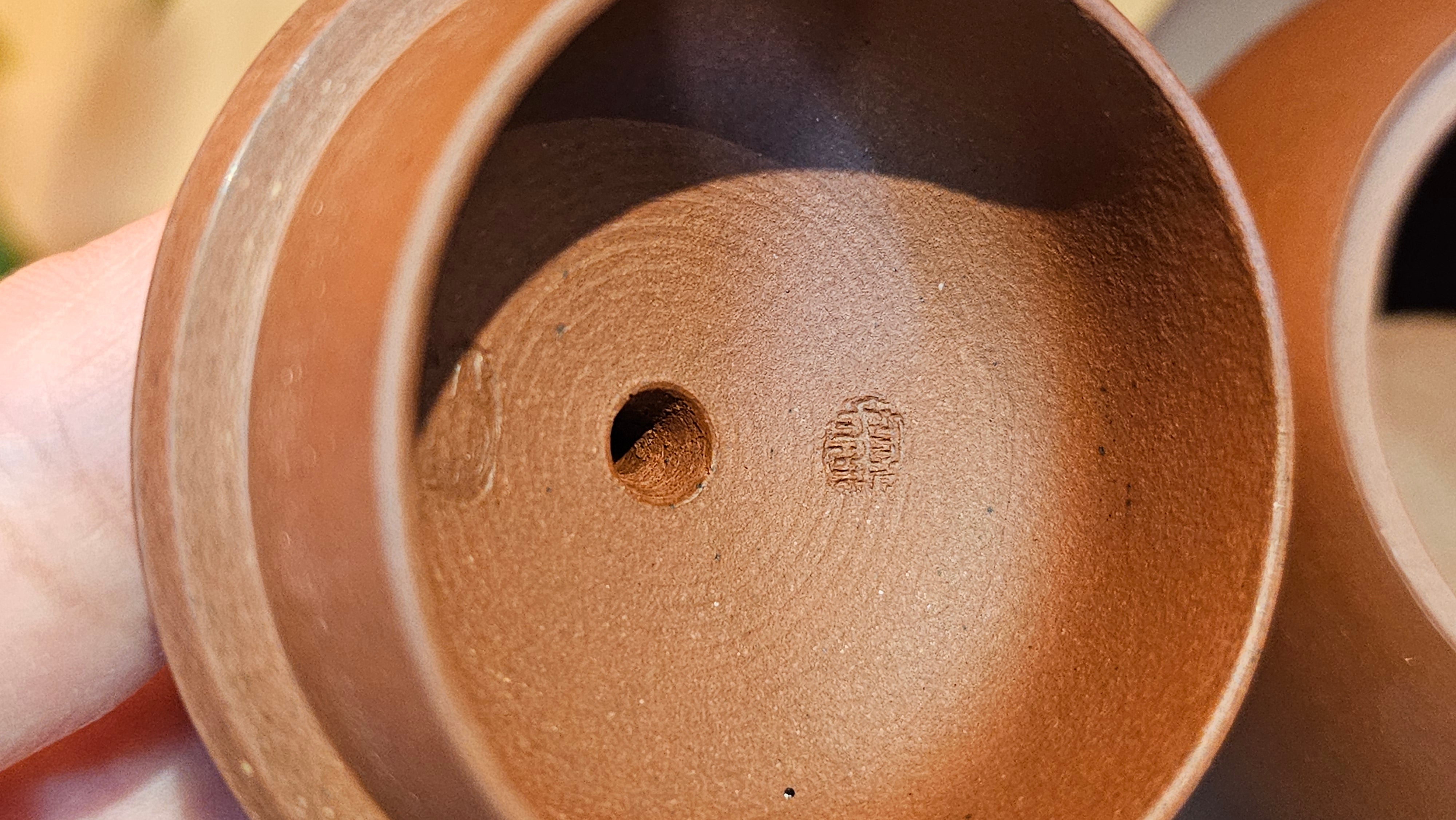 Xi Shi 西施, 167.6ml, Di Cao Qing Zi Ni 底槽青紫泥, by Craftsman Gu Xiao Ming 顾小明 ~ Congratulations to Ms D.W., 2320hrs 24th Apr, Milton, Ontario, Canada 🇨🇦.