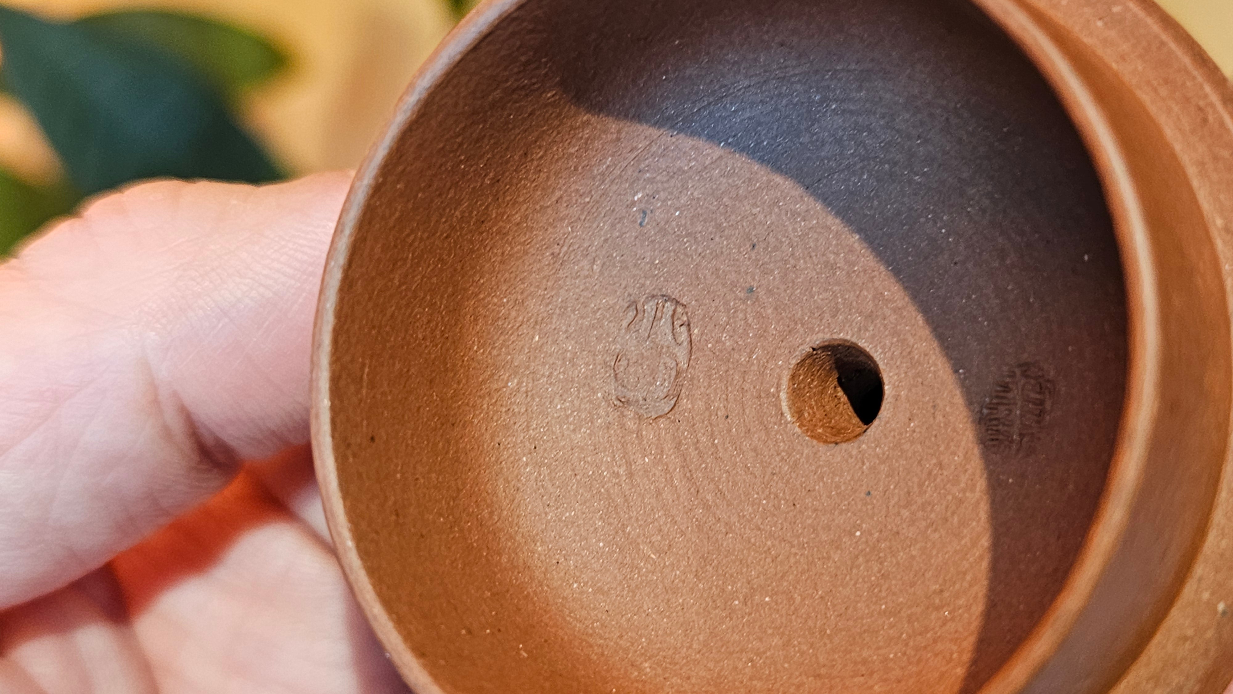 Xi Shi 西施, 167.6ml, Di Cao Qing Zi Ni 底槽青紫泥, by Craftsman Gu Xiao Ming 顾小明 ~ Congratulations to Ms D.W., 2320hrs 24th Apr, Milton, Ontario, Canada 🇨🇦.