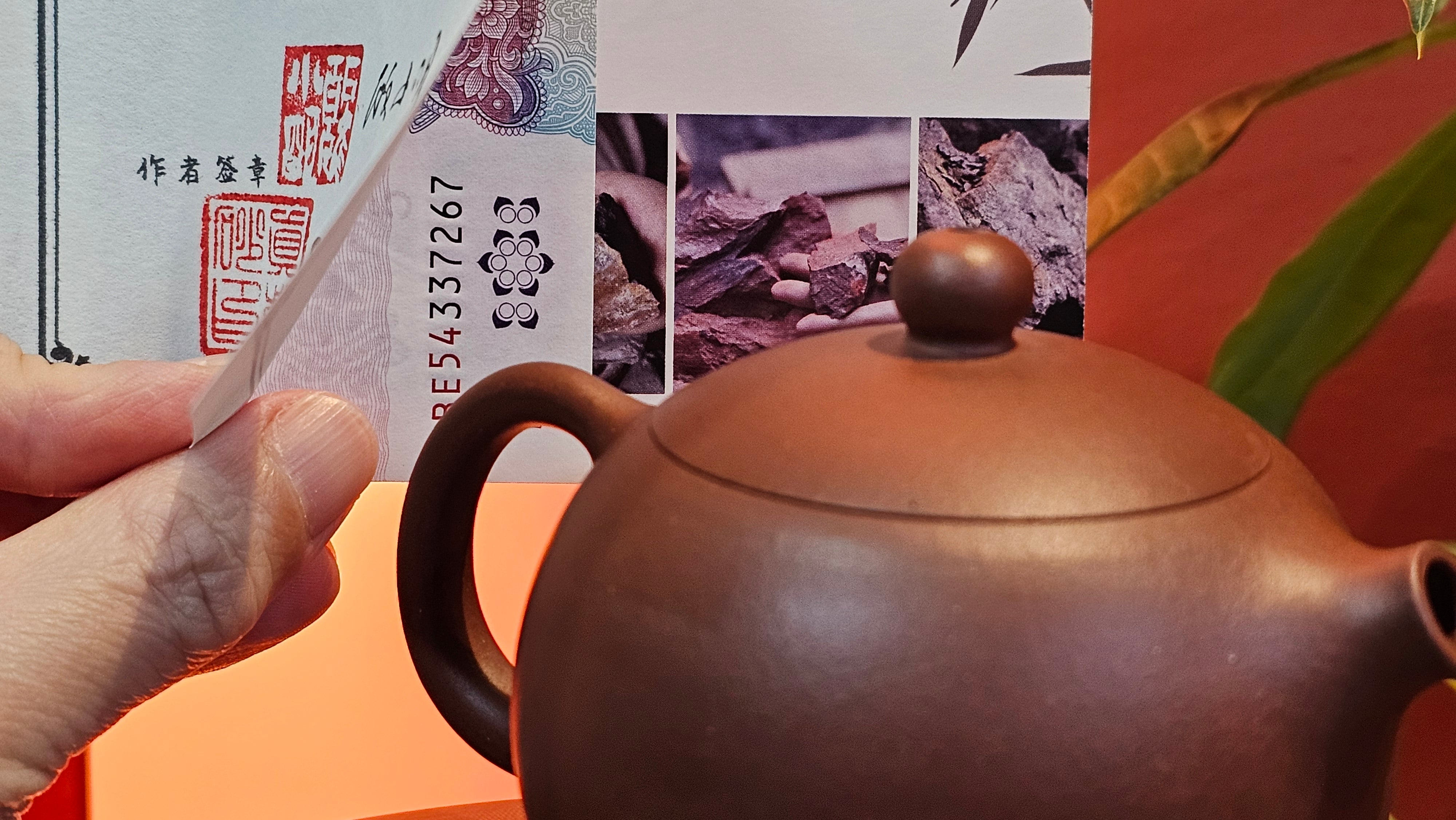 Xi Shi 西施, 167.6ml, Di Cao Qing Zi Ni 底槽青紫泥, by Craftsman Gu Xiao Ming 顾小明 ~ Congratulations to Ms D.W., 2320hrs 24th Apr, Milton, Ontario, Canada 🇨🇦.