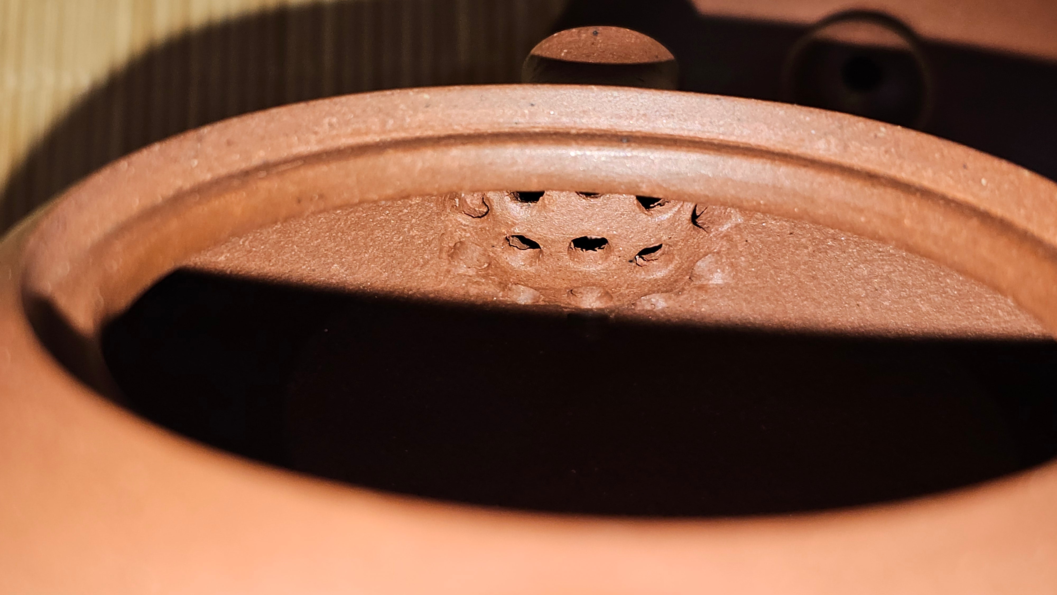 Xi Shi 西施, 173.0ml, Di Cao Qing Zi Ni 底槽青紫泥, by Craftsman Gu Xiao Ming 顾小明 ~ Congratulations to Ms D.W., 2013hrs 9th May 2025, Ontario, Canada 🇨🇦.