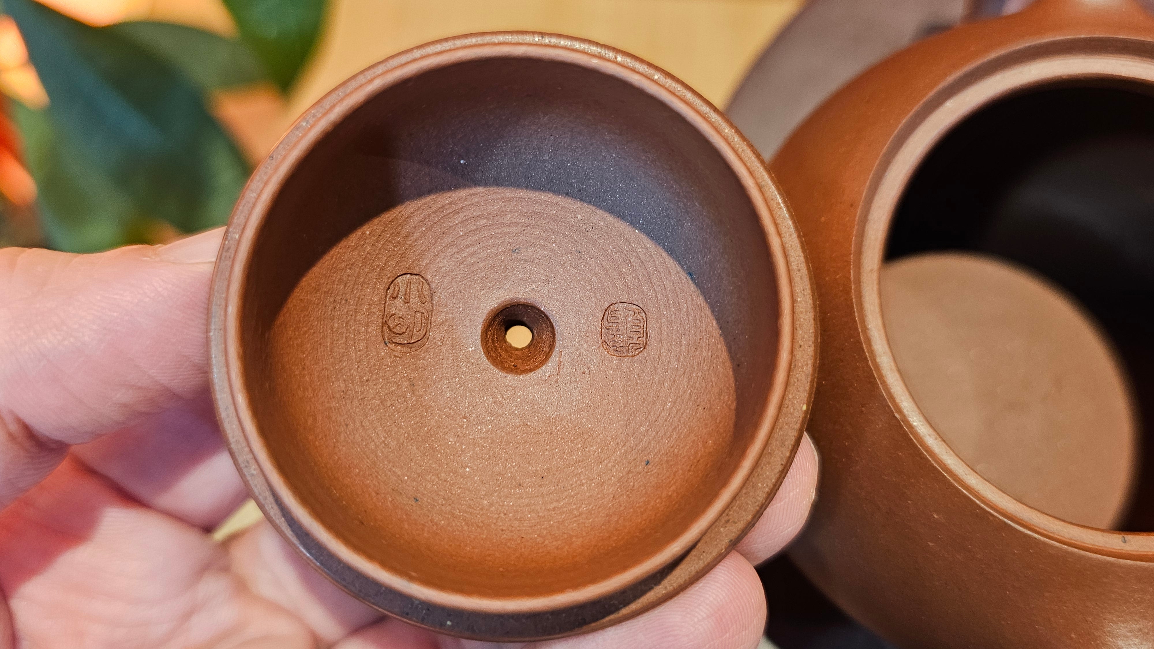 Xi Shi 西施, 173.0ml, Di Cao Qing Zi Ni 底槽青紫泥, by Craftsman Gu Xiao Ming 顾小明 ~ Congratulations to Ms D.W., 2013hrs 9th May 2025, Ontario, Canada 🇨🇦.