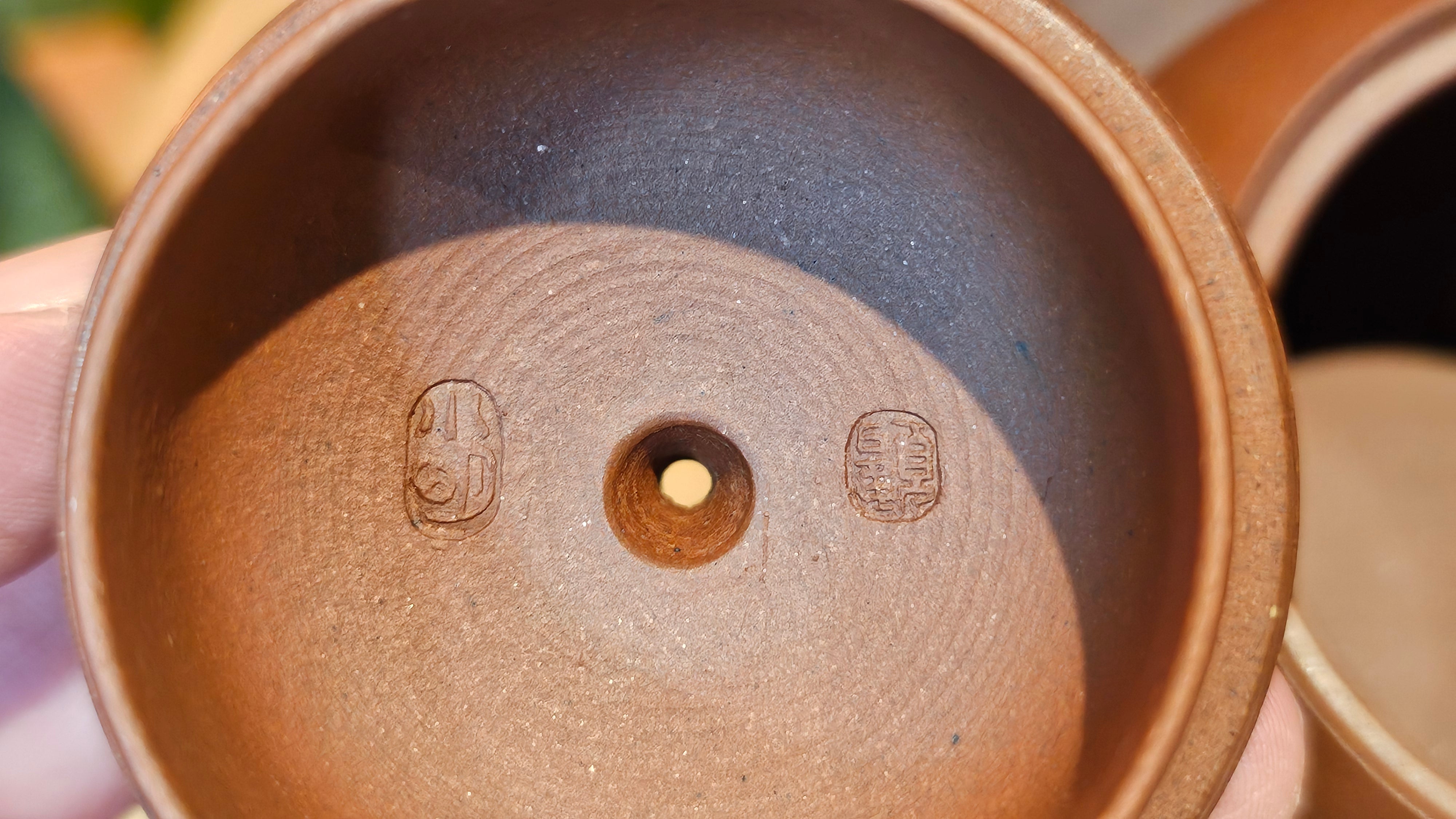 Xi Shi 西施, 173.0ml, Di Cao Qing Zi Ni 底槽青紫泥, by Craftsman Gu Xiao Ming 顾小明 ~ Congratulations to Ms D.W., 2013hrs 9th May 2025, Ontario, Canada 🇨🇦.