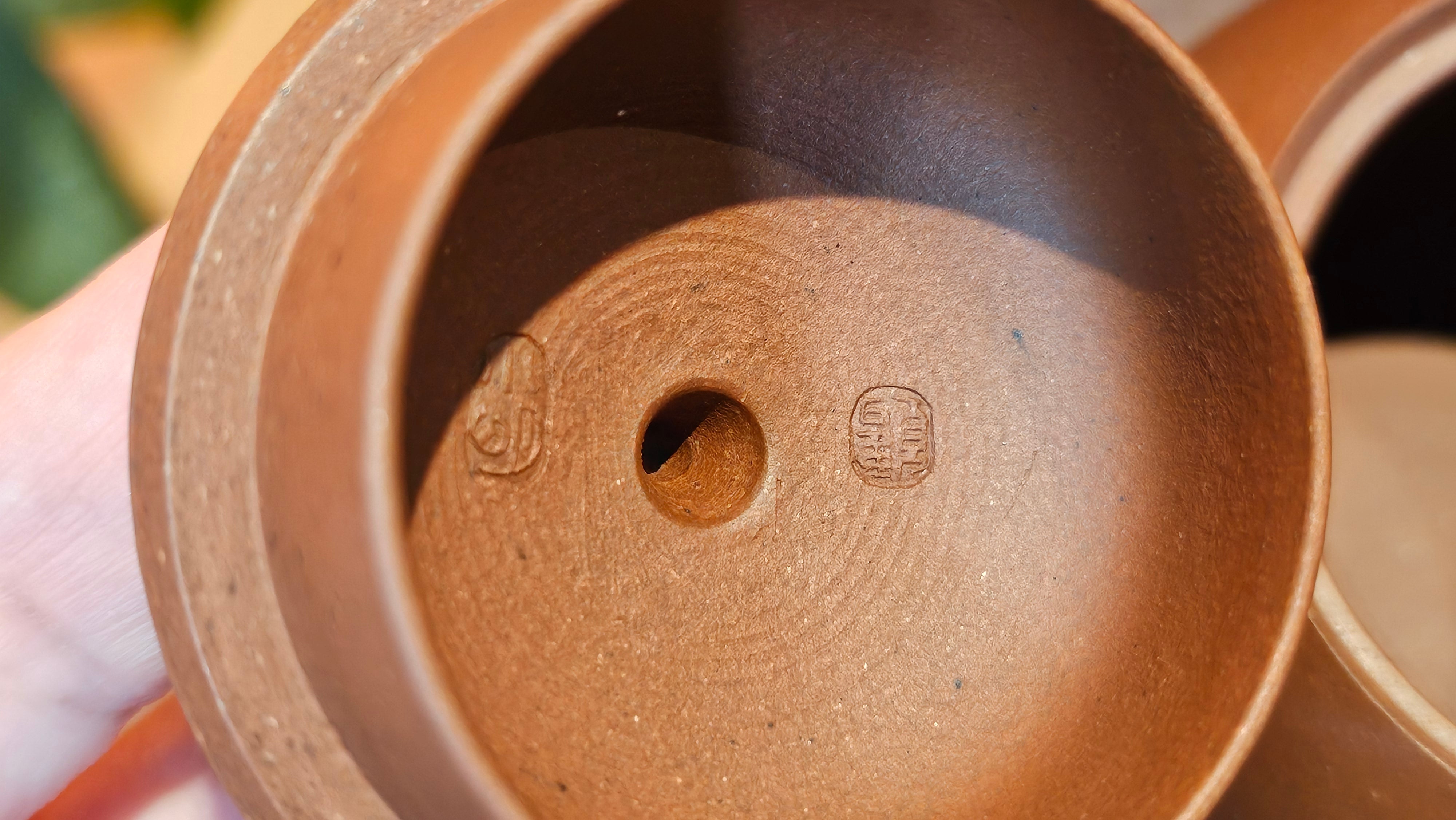 Xi Shi 西施, 173.0ml, Di Cao Qing Zi Ni 底槽青紫泥, by Craftsman Gu Xiao Ming 顾小明 ~ Congratulations to Ms D.W., 2013hrs 9th May 2025, Ontario, Canada 🇨🇦.