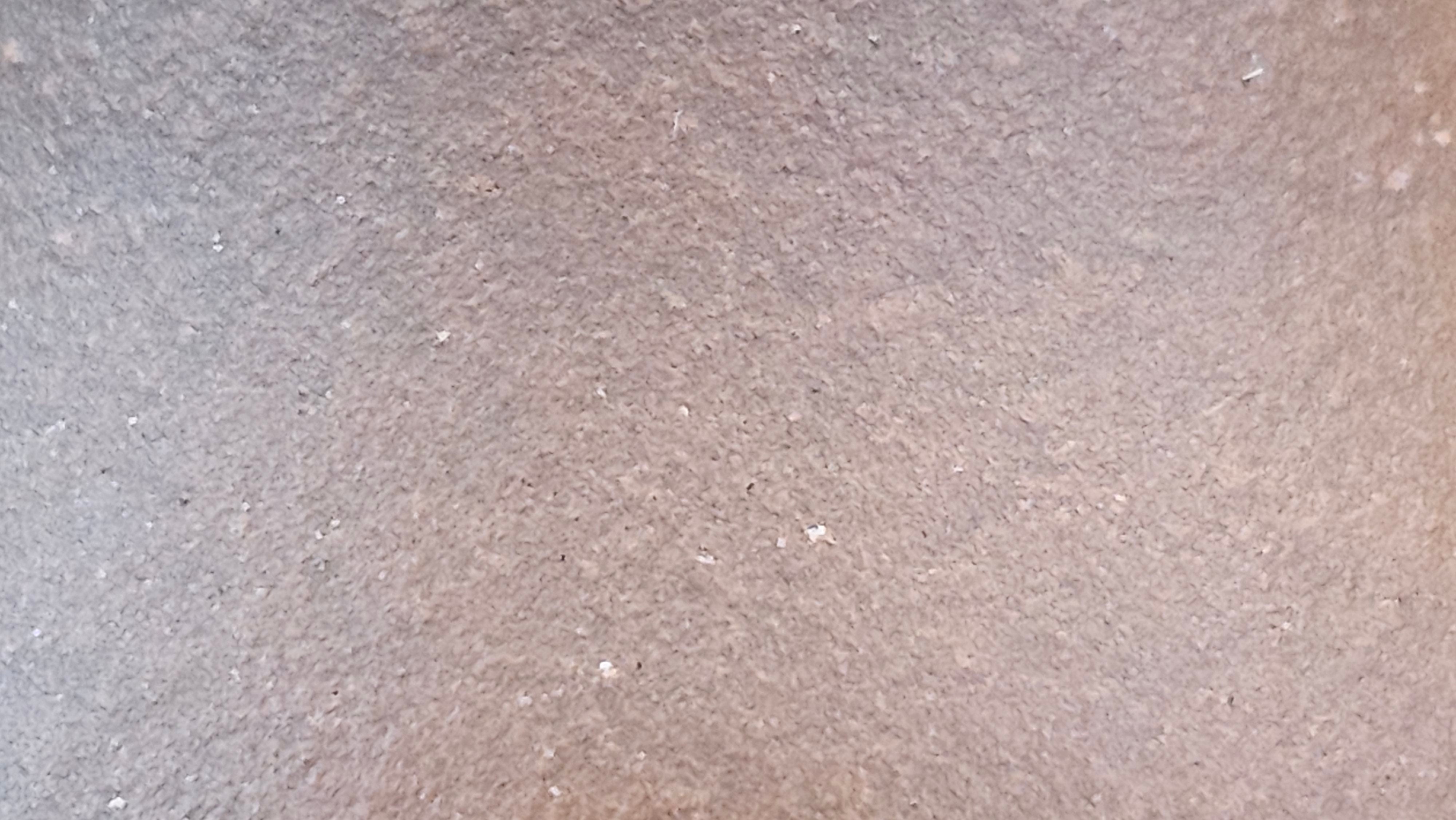 Qie Gua 茄瓜, 160.8ml, Di Cao Qing Zi Ni 底槽青紫泥, by our Craftsman Zhang Huan 张欢 ~ Congratulations to Mr A.L., 1938hrs 3rd May 2025, Israel 🇮🇱.