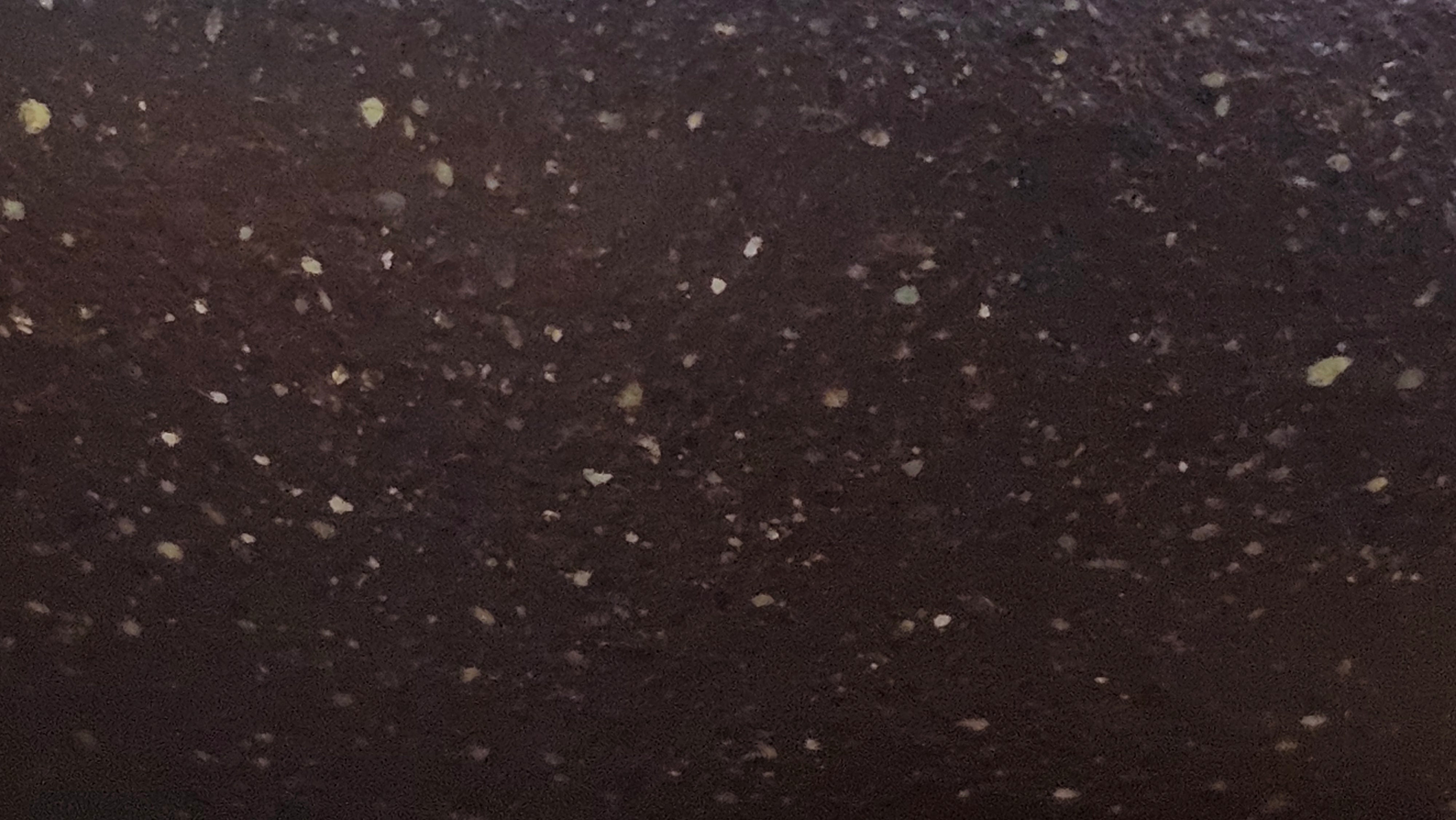 Lian Zi 莲子, 190.1ml, Lao Zi Ni 老紫泥 (Particular High Graininess, and Low Sieve Count), by Craftsman Chen Fa Chu 陈法初 ~ Congratulations to Mr M.H., 1718hrs 8th May 2025, Columbus, OH.