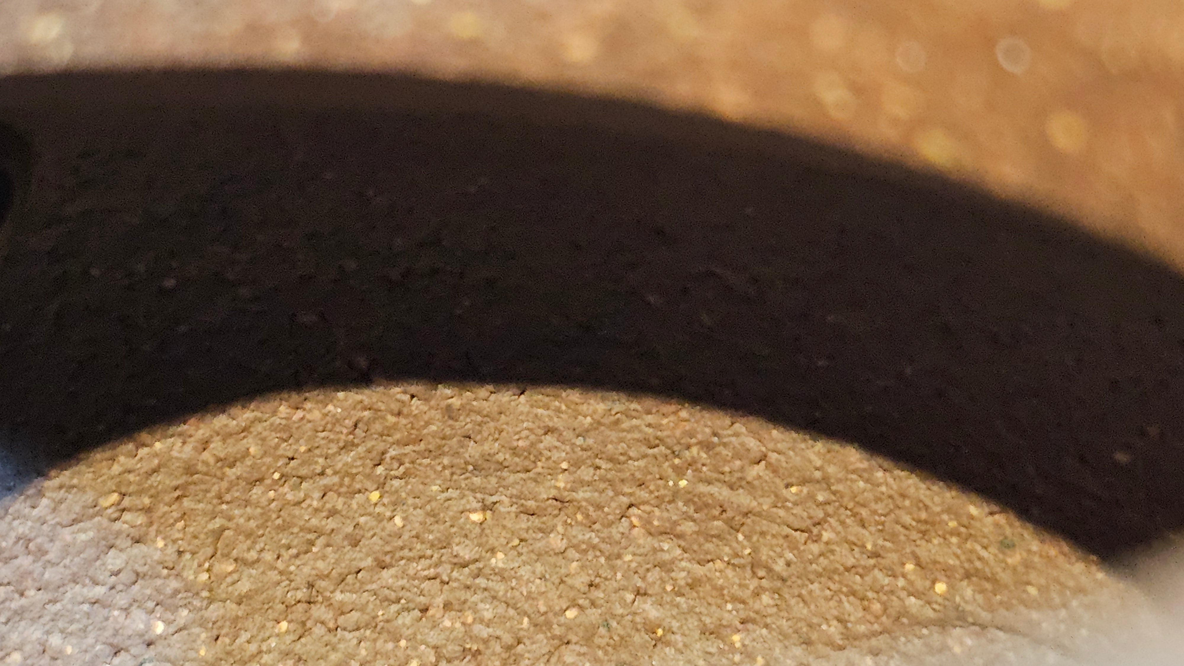 Lian Zi 莲子, 190.1ml, Lao Zi Ni 老紫泥 (Particular High Graininess, and Low Sieve Count), by Craftsman Chen Fa Chu 陈法初 ~ Congratulations to Mr M.H., 1718hrs 8th May 2025, Columbus, OH.