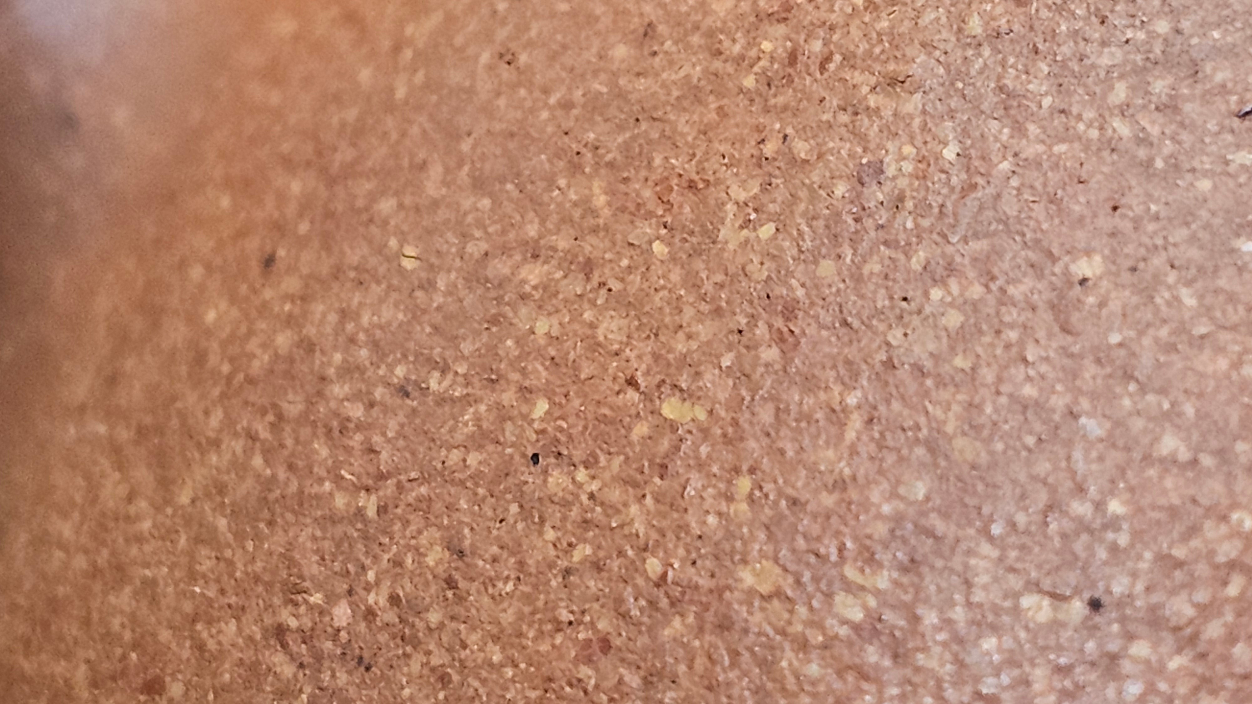 Shi Piao 石瓢 (Ping Gai Shi Piao 平盖石瓢), 154.3ml, Huang Jiang Po Ni 黄降坡泥, by our Collaborative Craftsman Chen Hua Jun 陈华军 ~ Congratulations to Ms M.L., 0117hrs 12th May 2025, Phoenix, AZ.