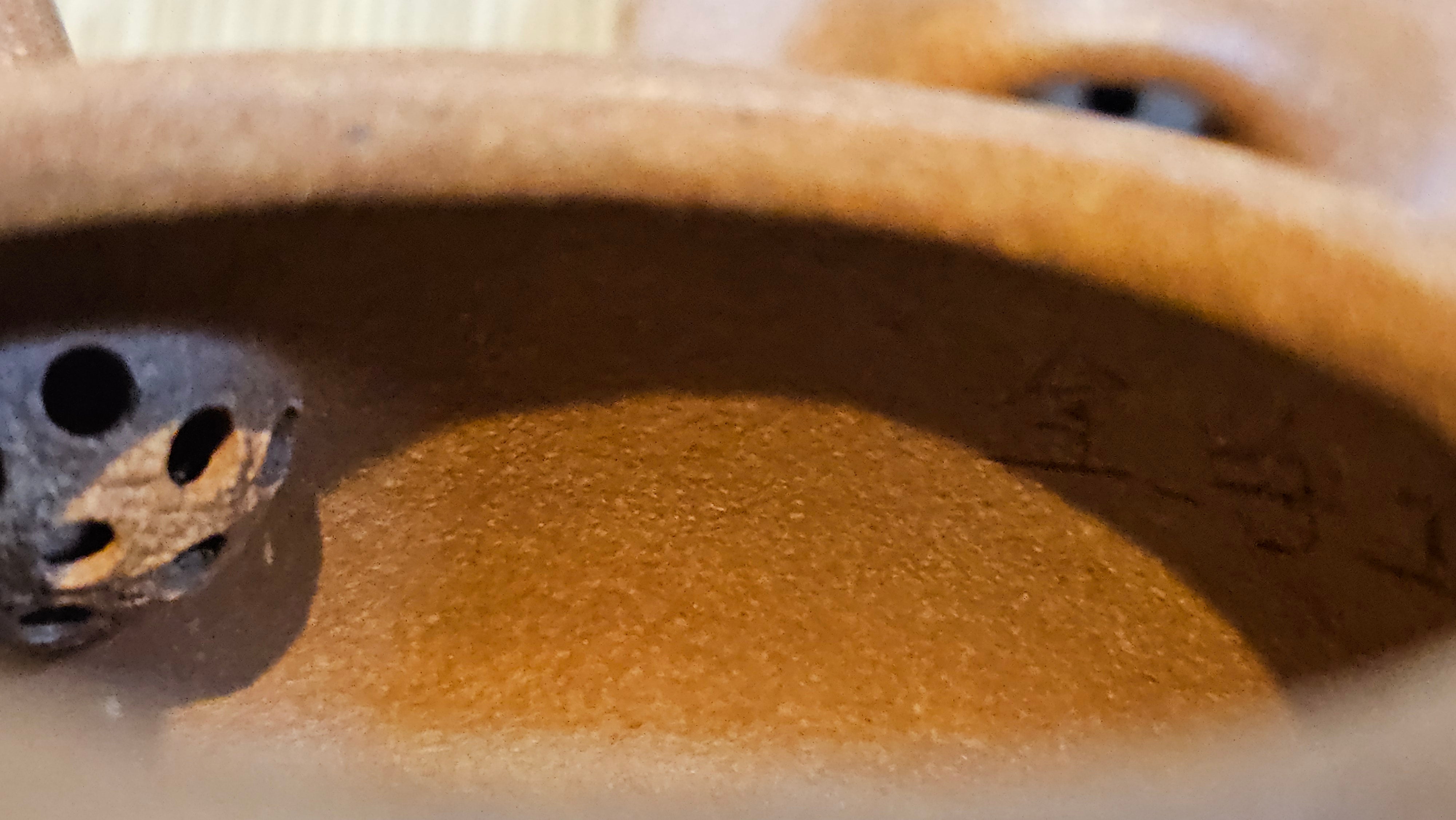 Shi Piao 石瓢 (Ping Gai Shi Piao 平盖石瓢), 154.3ml, Huang Jiang Po Ni 黄降坡泥, by our Collaborative Craftsman Chen Hua Jun 陈华军 ~ Congratulations to Ms M.L., 0117hrs 12th May 2025, Phoenix, AZ.