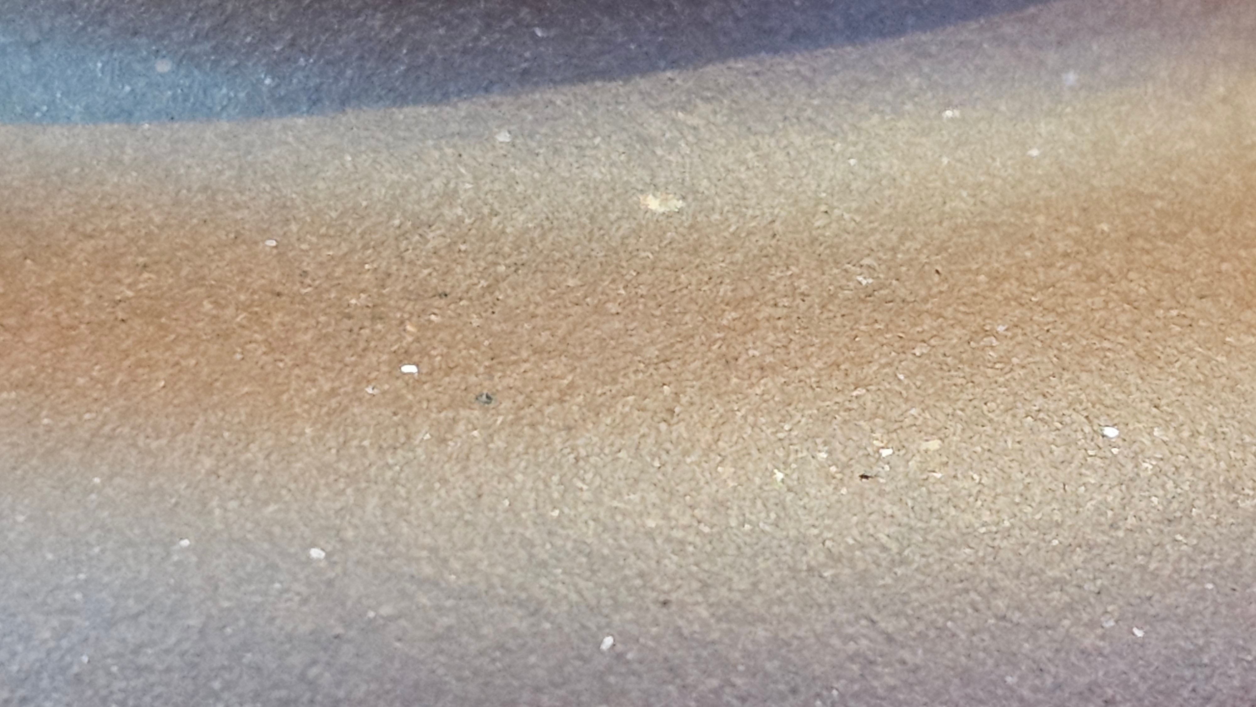 Fang Gu 仿古, 219.5ml, Di Cao Qing Zi Ni 底槽青紫泥, by our Collaborative Craftsman Chen Fa Chu 陈法初 ~ Congratulations to Mr J.M., 1532hrs 15th May 2025, Lake Wales, FL.