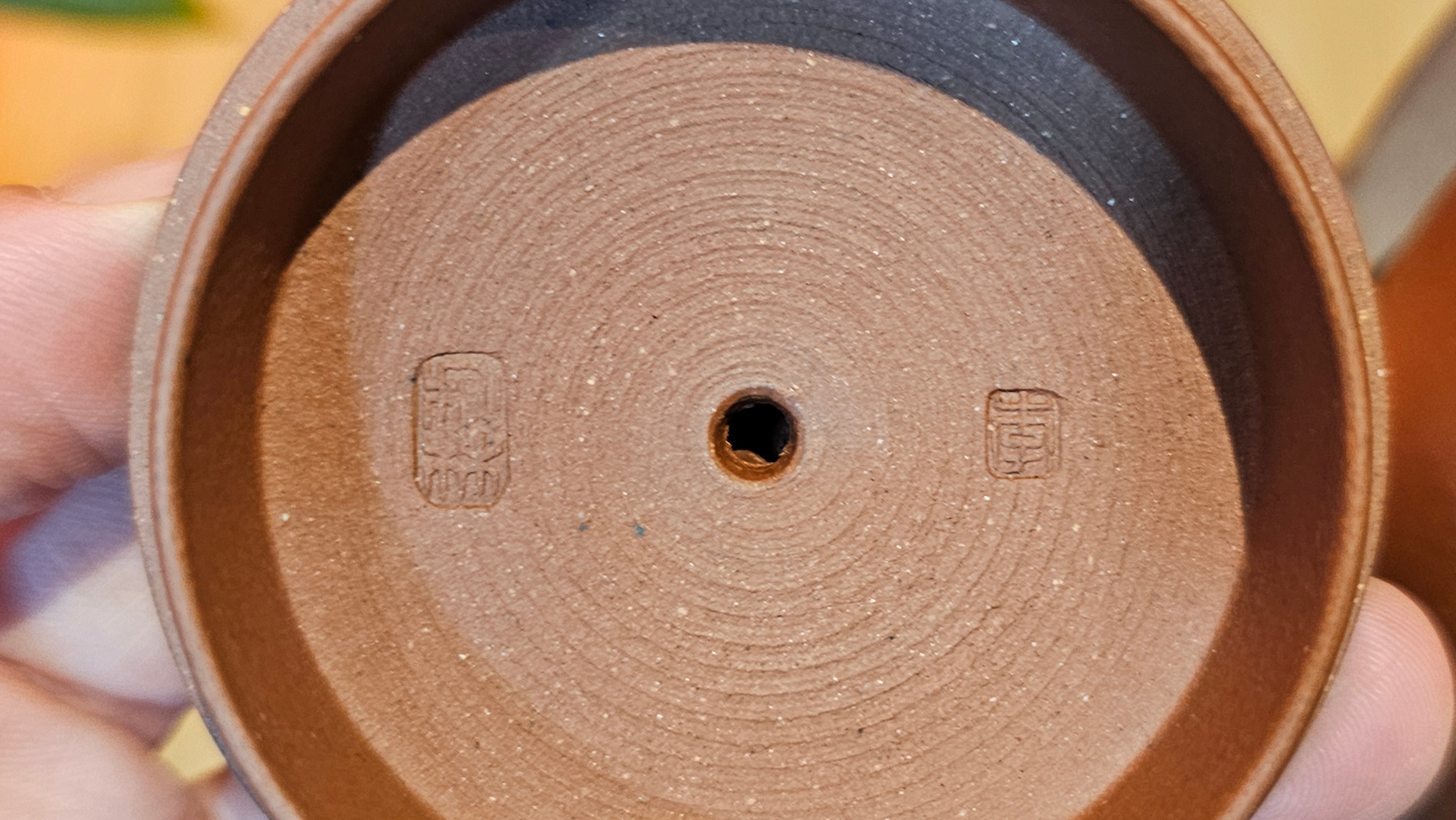 Ru Yi Gu 如意鼓, 206.8ml, Di Cao Qing Zi Ni 底槽青紫泥, by our Craftsman Li Qiu Lin 李秋林 ~ Congratulations to Mr A.D.P., 0111hrs 29th May 2025, Leuven, Belgium 🇧🇪.