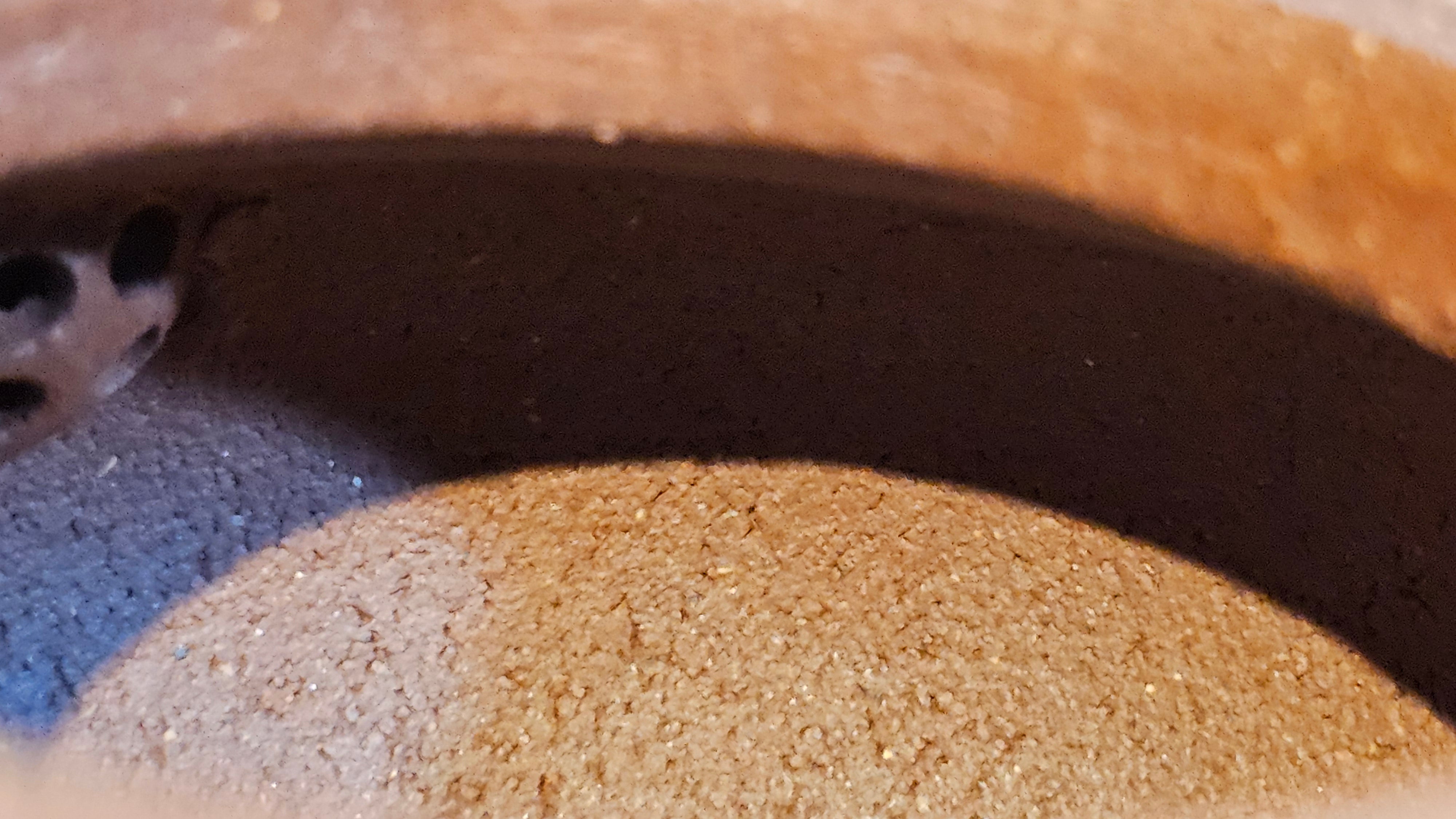 Duo Zhi 掇只, 211.9ml, Di Cao Qing Zi Ni 底槽青紫泥, by our Collaborative Craftsman Chen Fa Chu 陈法初 ~ Congratulations to Mr T.L., 1002hrs 14th June 2025, Singapore 🇸🇬.