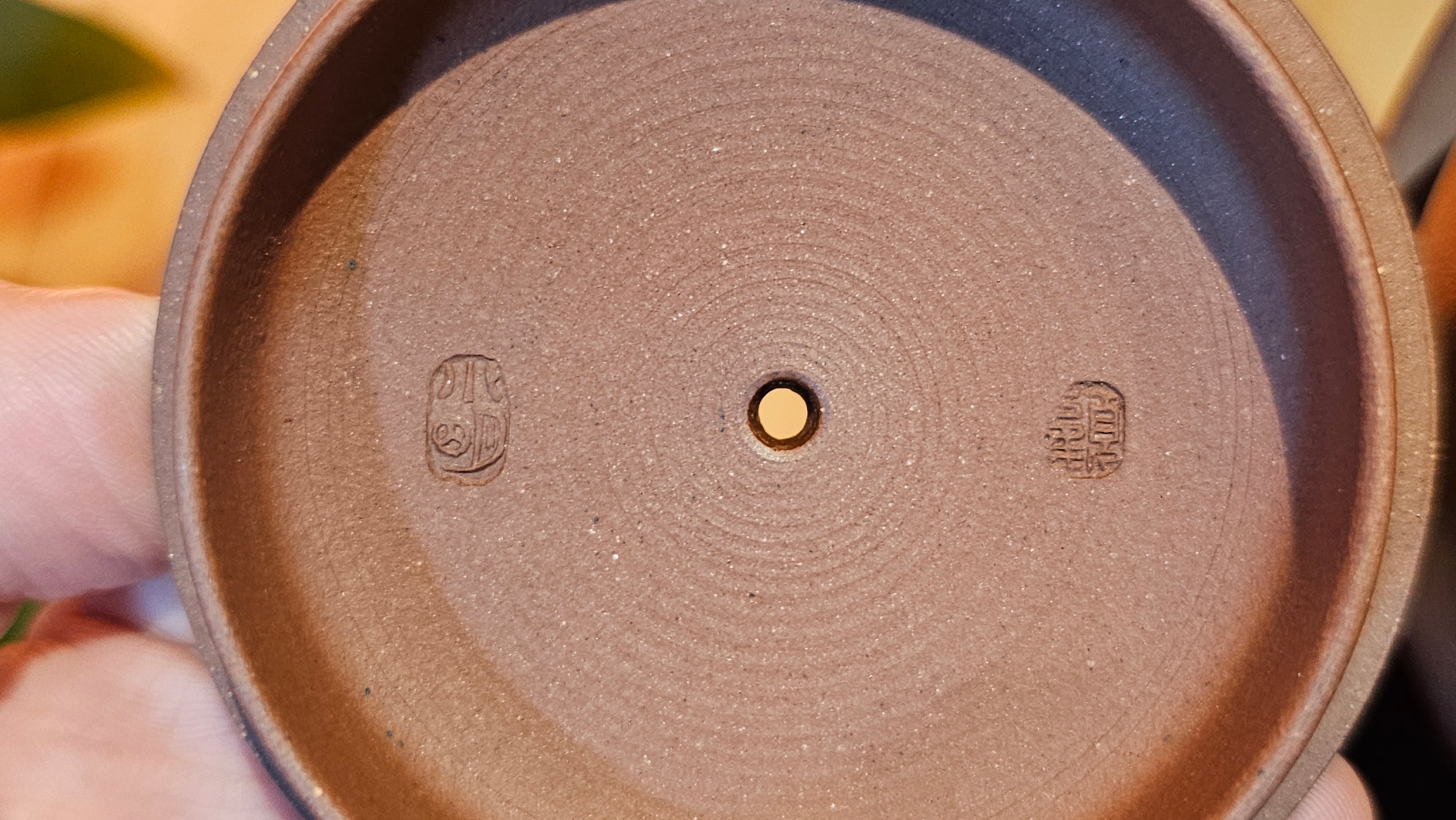 Han Wa 汉瓦, 143.3ml!  Small Volume ~ Low-Slung, Broad Han Wa!  Di Cao Qing Zi Ni 底槽青紫泥, by Craftsman Gu Xiao Ming 顾小明 ~ Congratulations to Ms C.B., 1921hrs 31st May 2025, Kaneohe, HI.