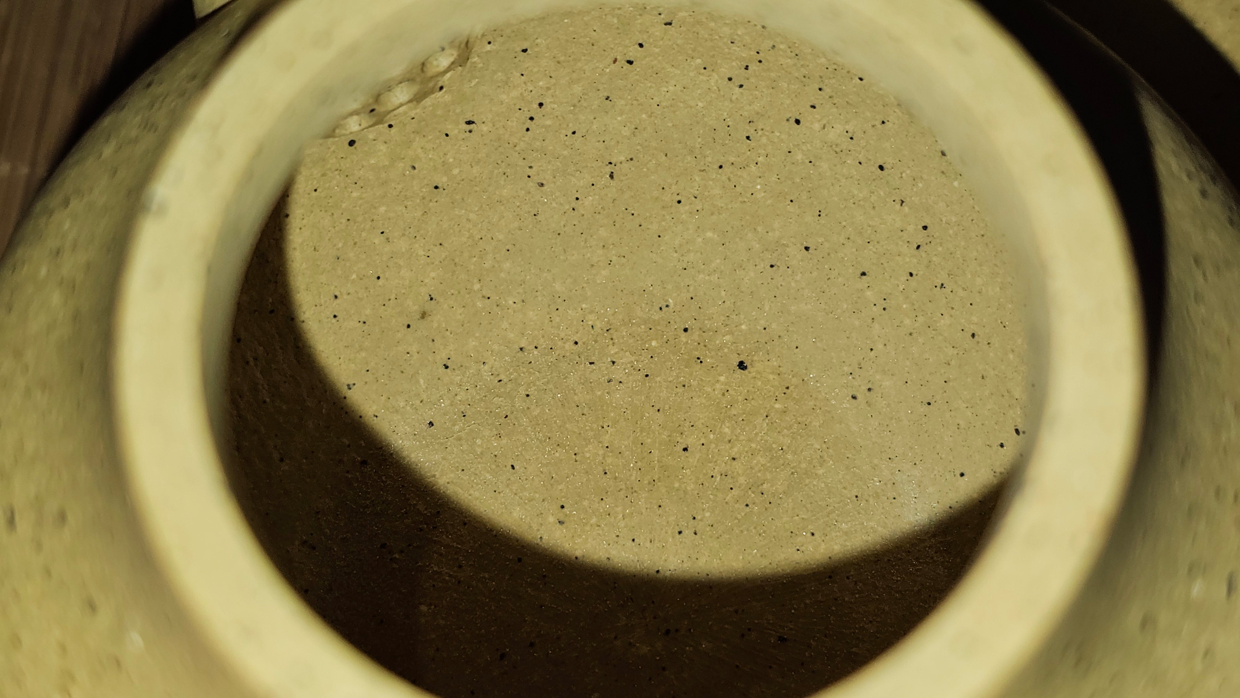 Si Ting 思亭, 191.3ml, Zhi Ma Duan Ni 芝麻段泥, by Craftsman Gu Xiao Ming 顾小明 ~ Congratulations to Mr G.T., 1954hrs 3rd June, Singapore 🇸🇬.