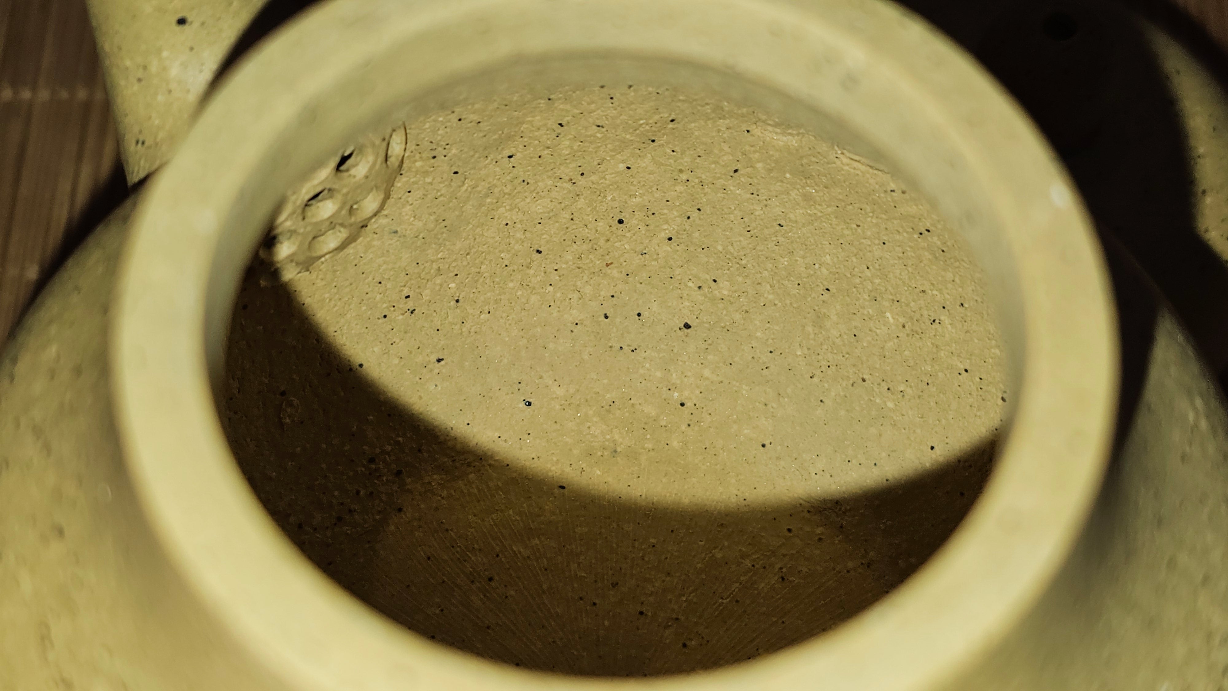 Si Ting 思亭, 193.3ml, Zhi Ma Duan Ni 芝麻段泥, by Craftsman Gu Xiao Ming 顾小明 ~ Congratulations to Mr J.J., 1304hrs 4th June 2025, Ontario, Canada 🇨🇦.