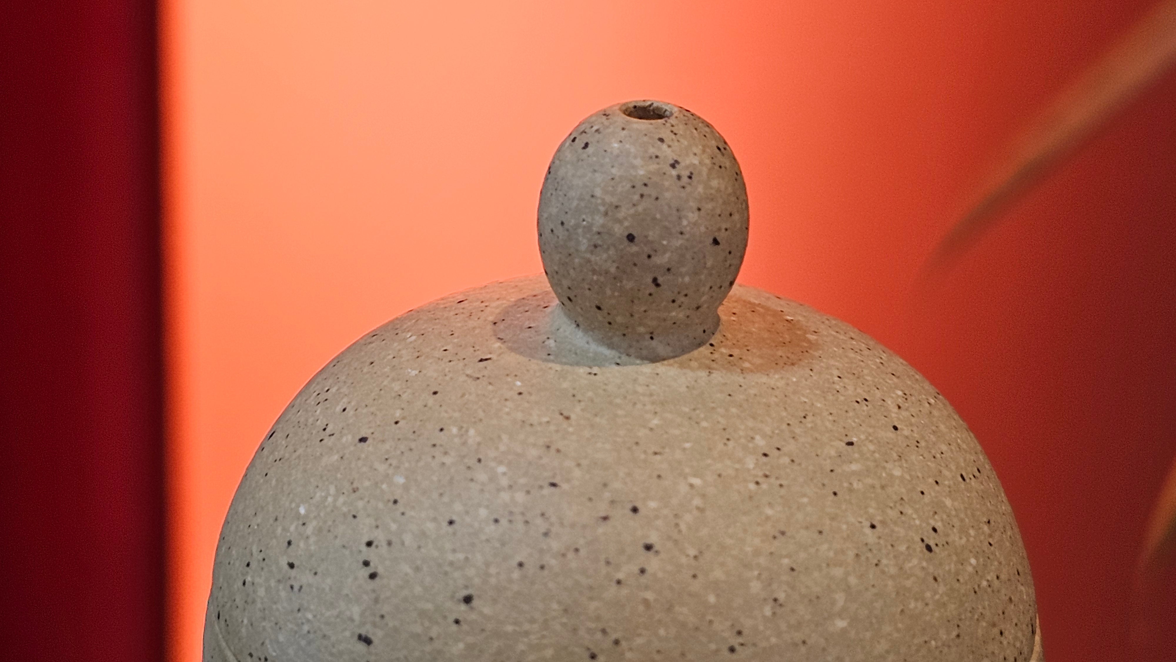 Si Ting 思亭, 193.3ml, Zhi Ma Duan Ni 芝麻段泥, by Craftsman Gu Xiao Ming 顾小明 ~ Congratulations to Mr J.J., 1304hrs 4th June 2025, Ontario, Canada 🇨🇦.