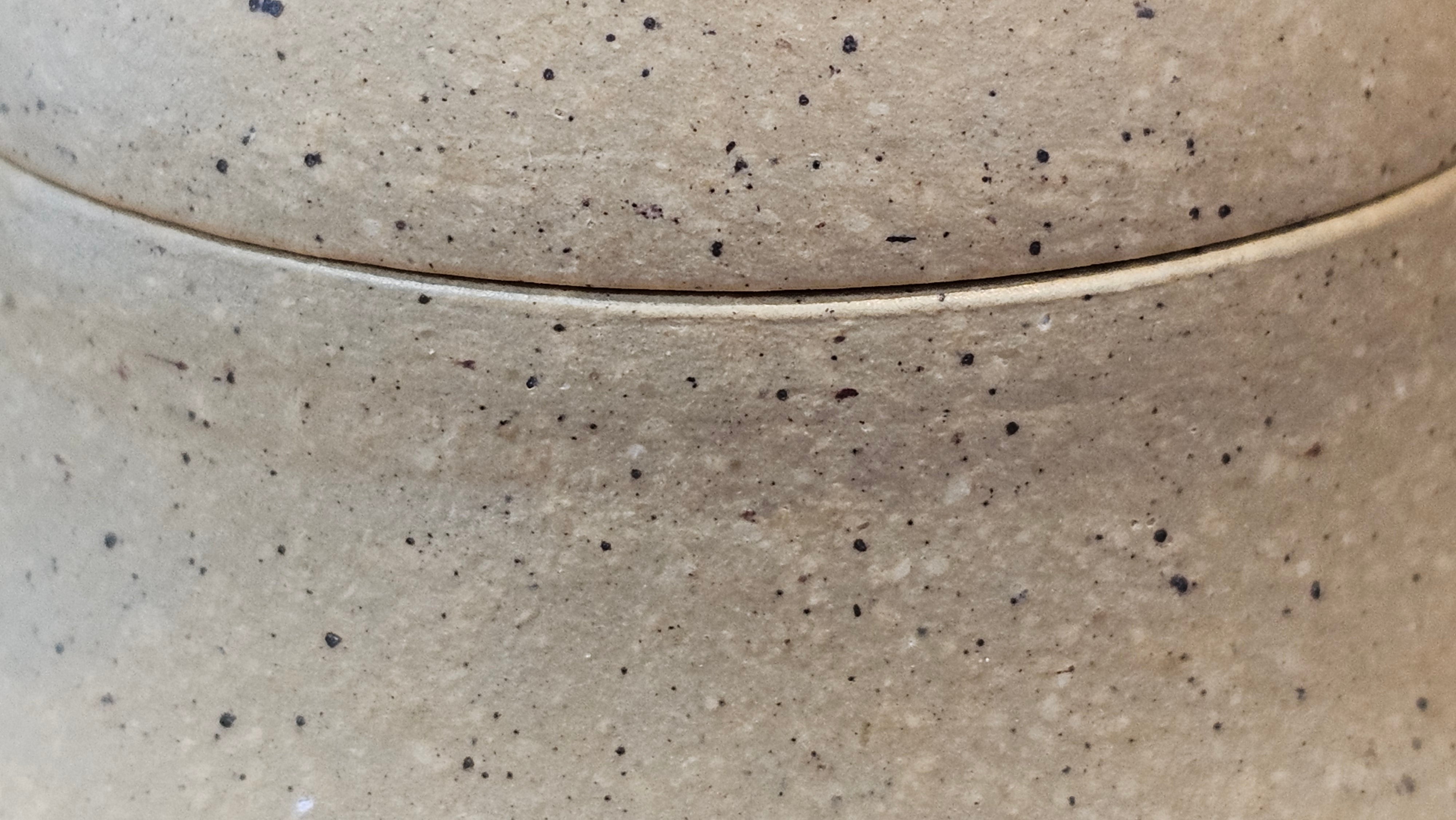 Si Ting 思亭, 193.3ml, Zhi Ma Duan Ni 芝麻段泥, by Craftsman Gu Xiao Ming 顾小明 ~ Congratulations to Mr J.J., 1304hrs 4th June 2025, Ontario, Canada 🇨🇦.