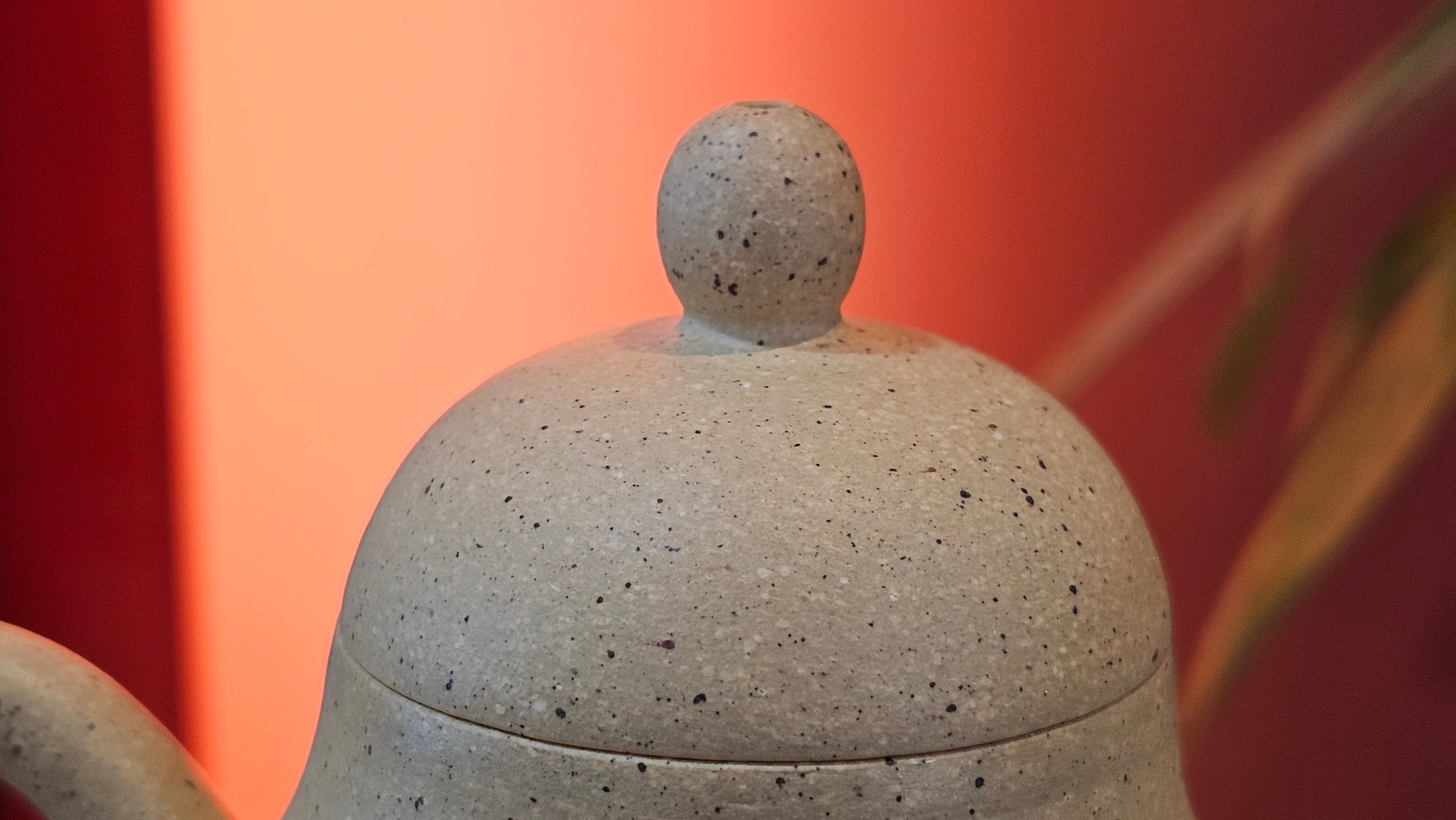 Si Ting 思亭, 193.3ml, Zhi Ma Duan Ni 芝麻段泥, by Craftsman Gu Xiao Ming 顾小明 ~ Congratulations to Mr J.J., 1304hrs 4th June 2025, Ontario, Canada 🇨🇦.