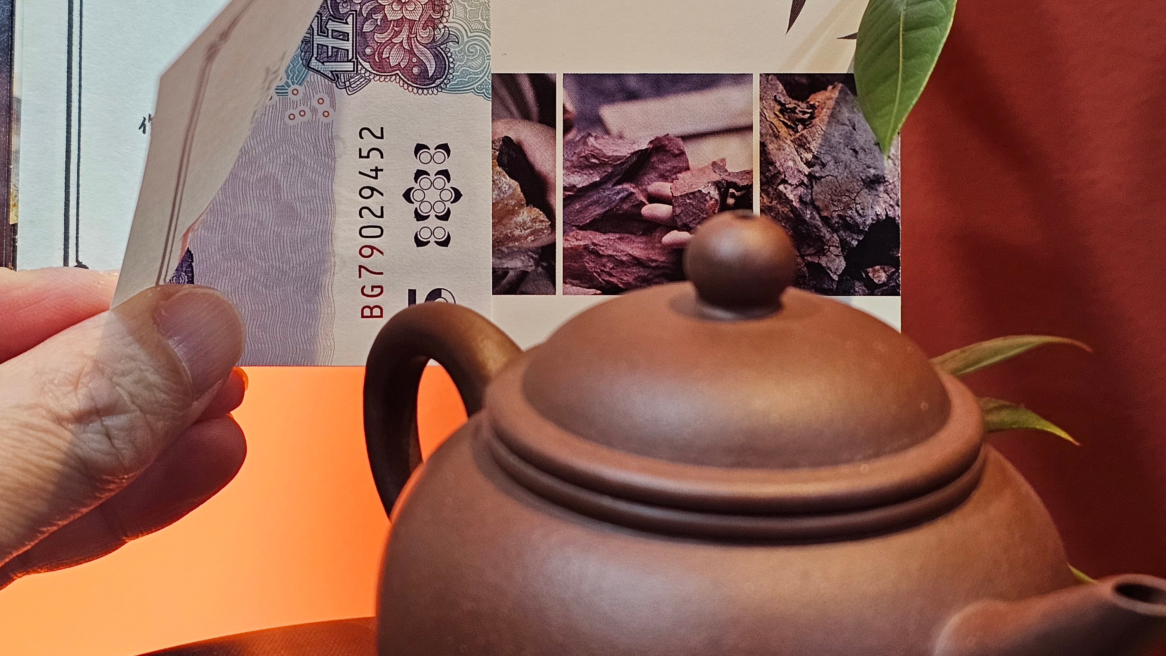 Shui Ping 水平, 163.9ml, Di Cao Qing Zi Ni 底槽青紫泥, by Craftsman Zhao Huai Xu 赵怀须。