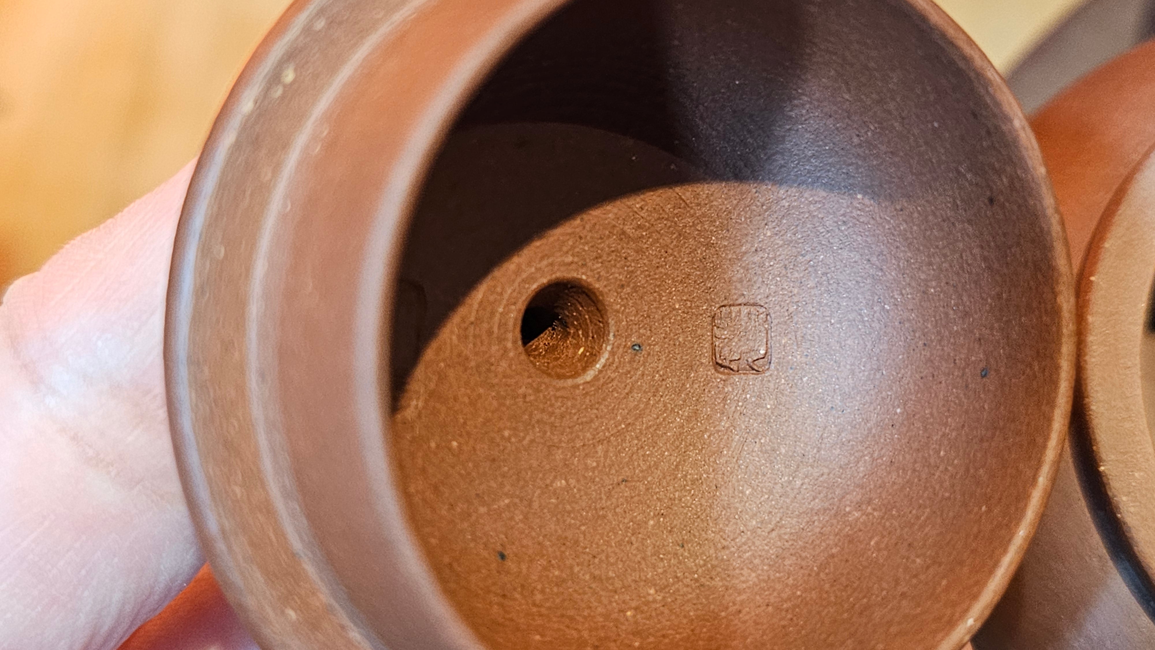 Shui Ping 水平, 163.9ml, Di Cao Qing Zi Ni 底槽青紫泥, by Craftsman Zhao Huai Xu 赵怀须。