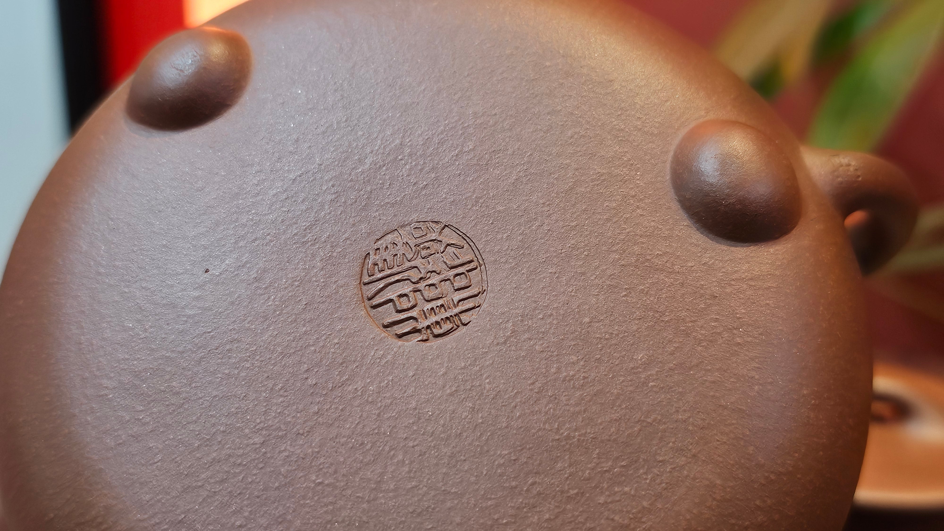 Shuo Piao 硕瓢, 227.5ml, Zi Ni 紫泥, by our Collaborative Craftsman Chen Huan 陈欢 ~ Congratulations to Ms Z., 0030hrs 11th June 2025, Hoboken, NJ.