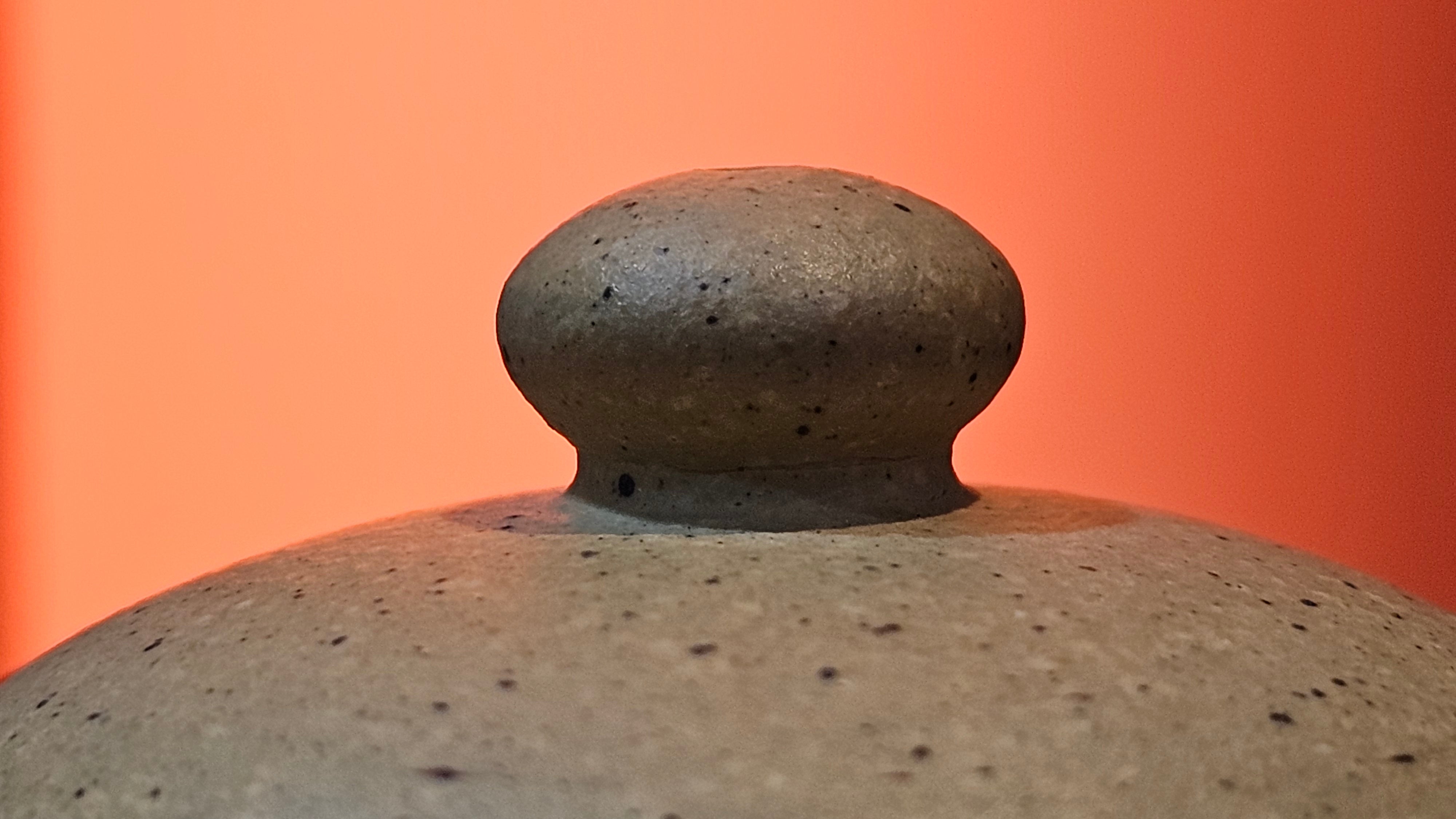 Li Xing 梨形, 163.1ml, Zhi Ma Duan Ni 芝麻段泥, by Craftsman Gu Xiao Ming 顾小明 ~ Congratulations to Mr A.K., 2247hrs 16th June 2025, Seattle, WA.