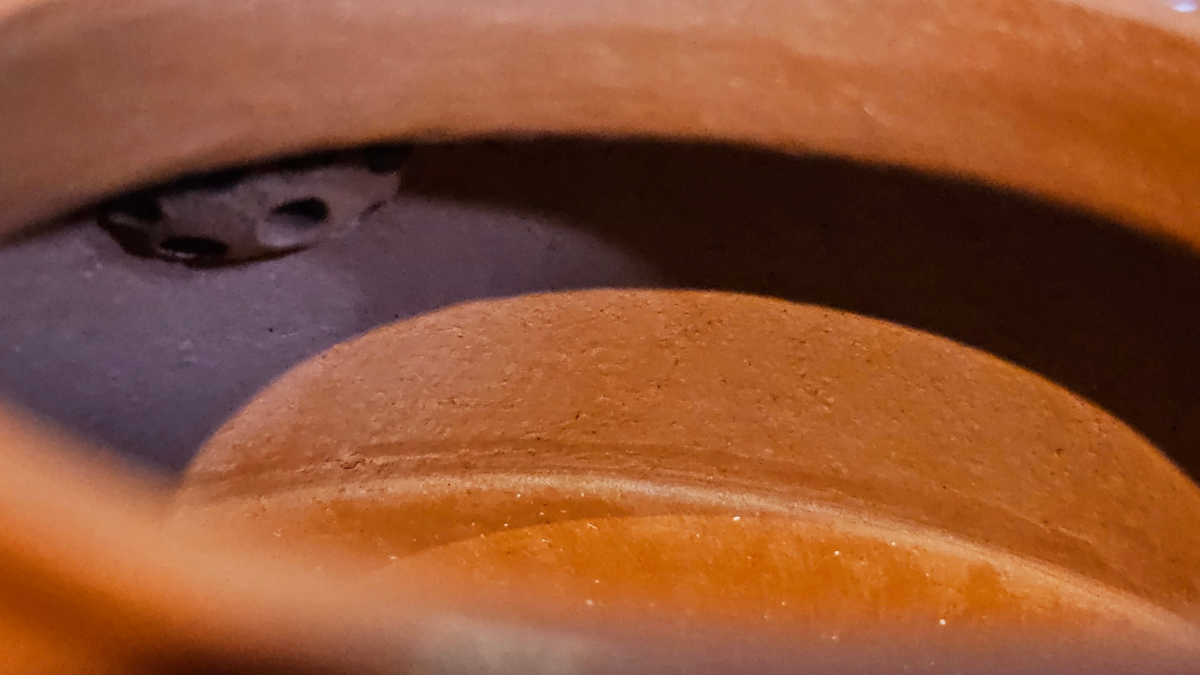 De Zhong 德钟 (Ai De Zhong 矮德钟), 120.9ml, Xiao Mei Yao Zhu Ni 小煤窑朱泥, by Craftsman Shi Yun 石芸 ~ Congratulations to Mr J.A., 1031hrs 5th July 2025, Farmville, NC.