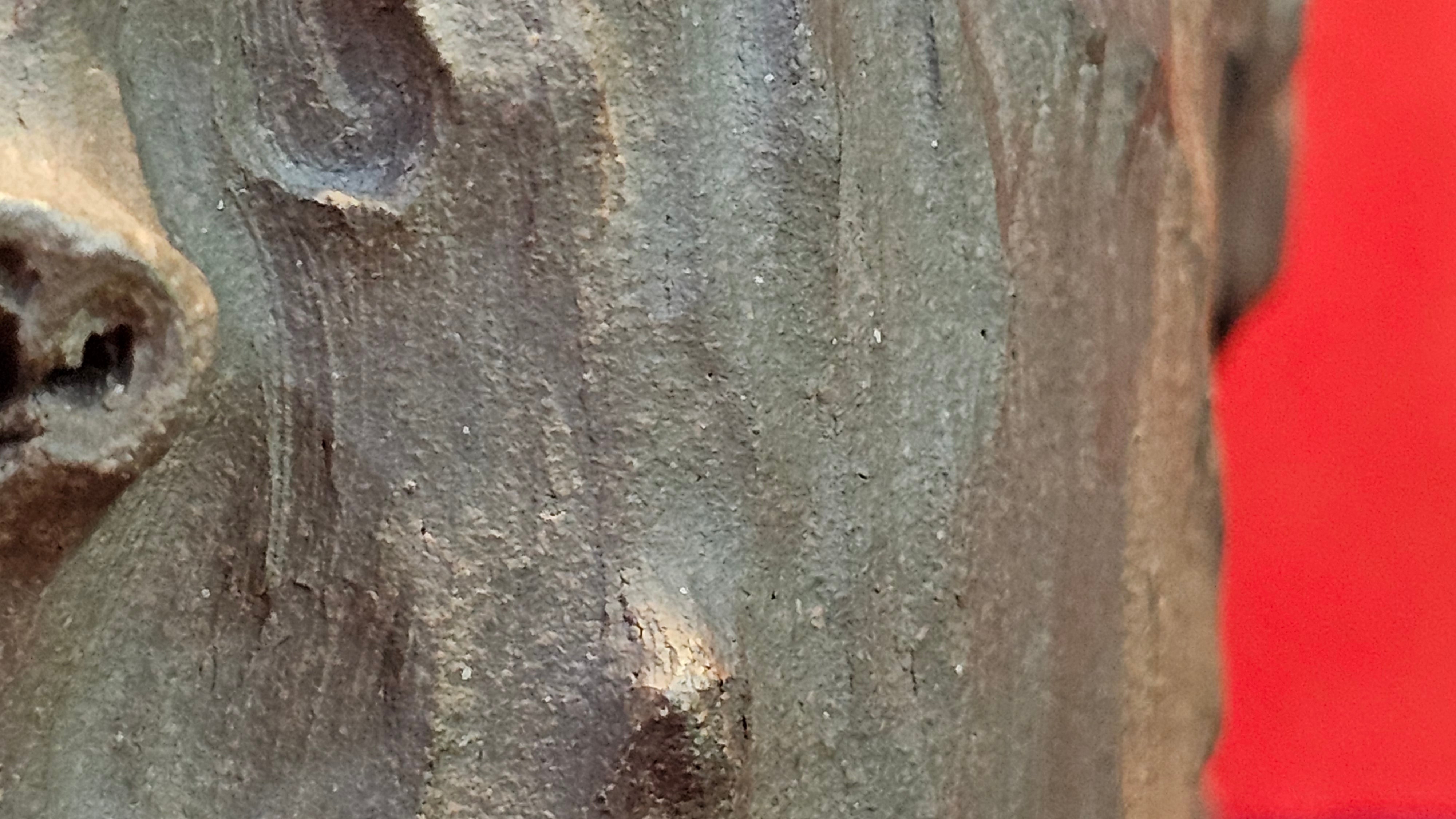 Commissioned work for Patron Mr Engel accomplished: Assoc Master 张雪磊 Zhang Xue Lei crafting the World Debut Ornate ZiSha Work Taking After The "Methuselah" Bristlecone Pine of North America. ~ Part 2 ~ 173 photos.