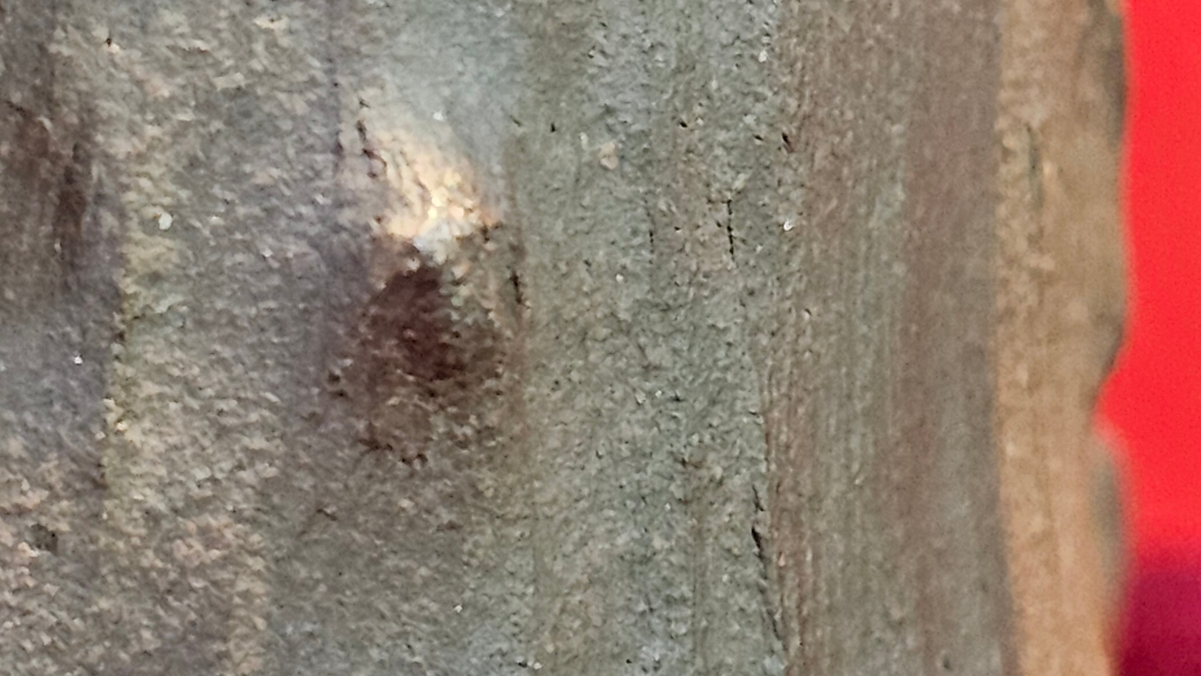 Commissioned work for Patron Mr Engel accomplished: Assoc Master 张雪磊 Zhang Xue Lei crafting the World Debut Ornate ZiSha Work Taking After The "Methuselah" Bristlecone Pine of North America. ~ Part 2 ~ 173 photos.