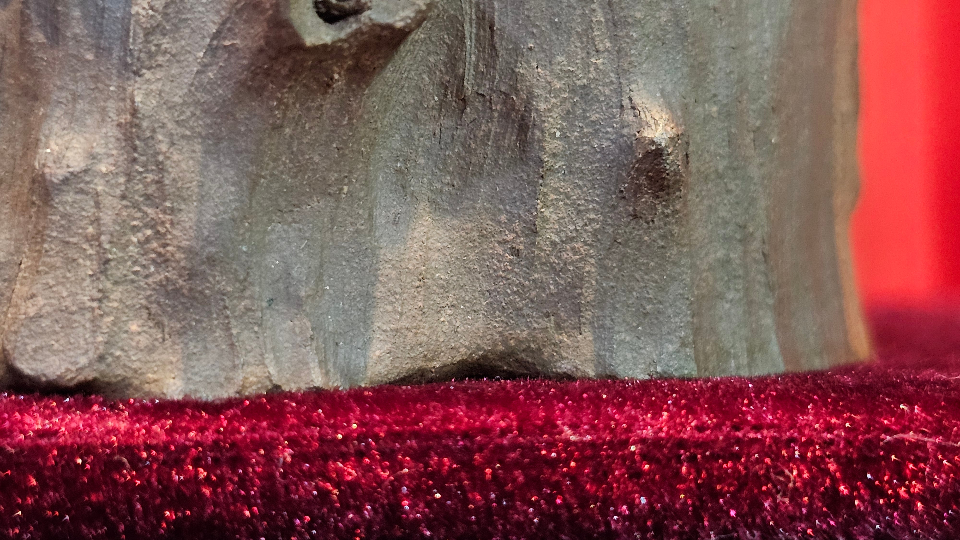 Commissioned work for Patron Mr Engel accomplished: Assoc Master 张雪磊 Zhang Xue Lei crafting the World Debut Ornate ZiSha Work Taking After The "Methuselah" Bristlecone Pine of North America. ~ Part 2 ~ 173 photos.